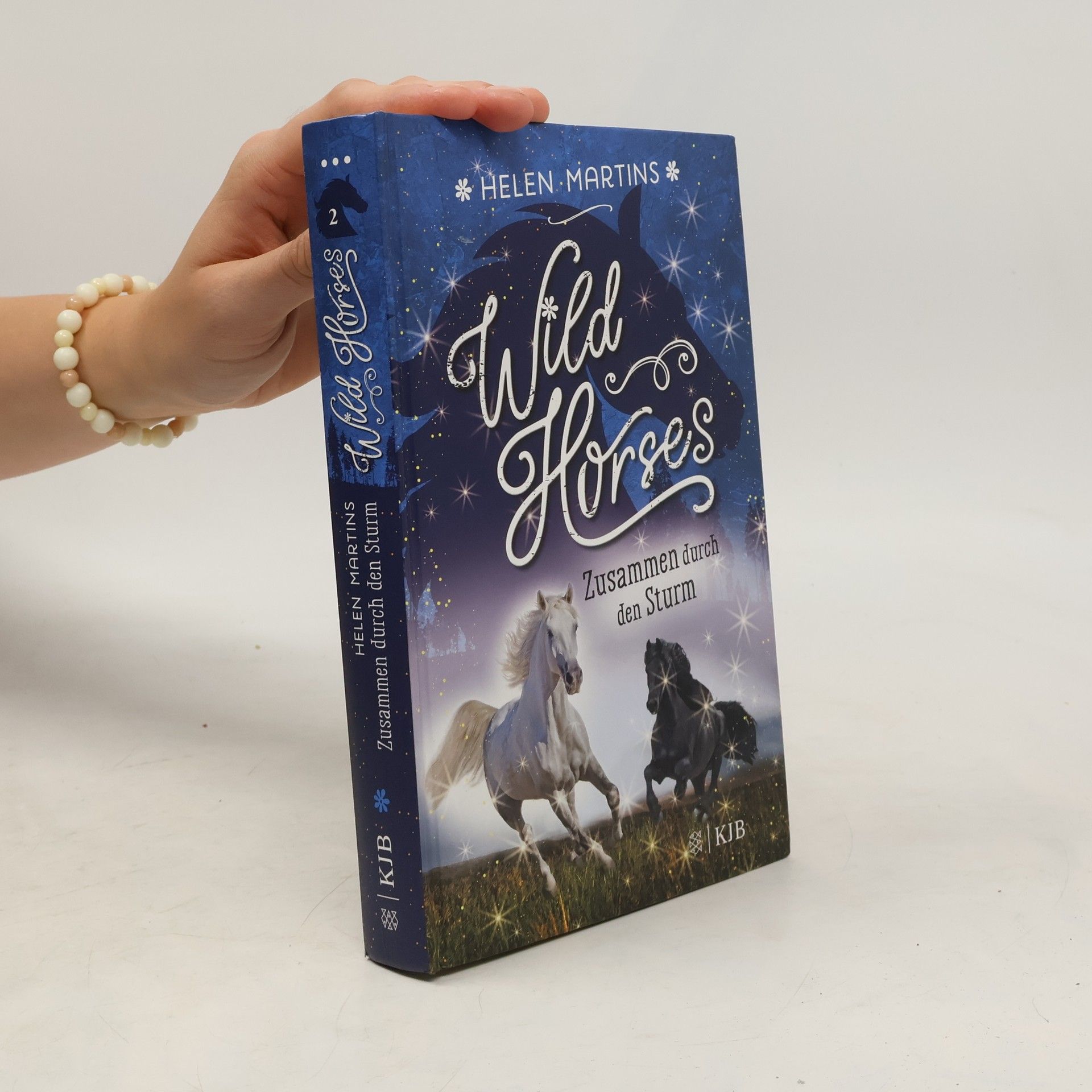 Helen Martins Wild Horses - Zusammen durch den Sturm