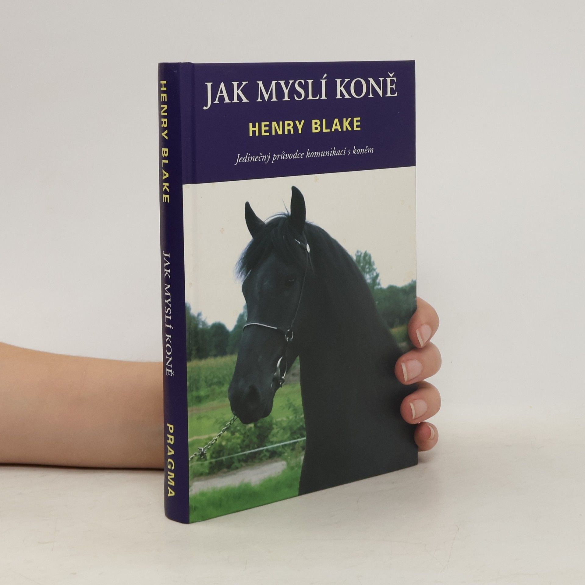 H. N. Blake Jak myslí koně