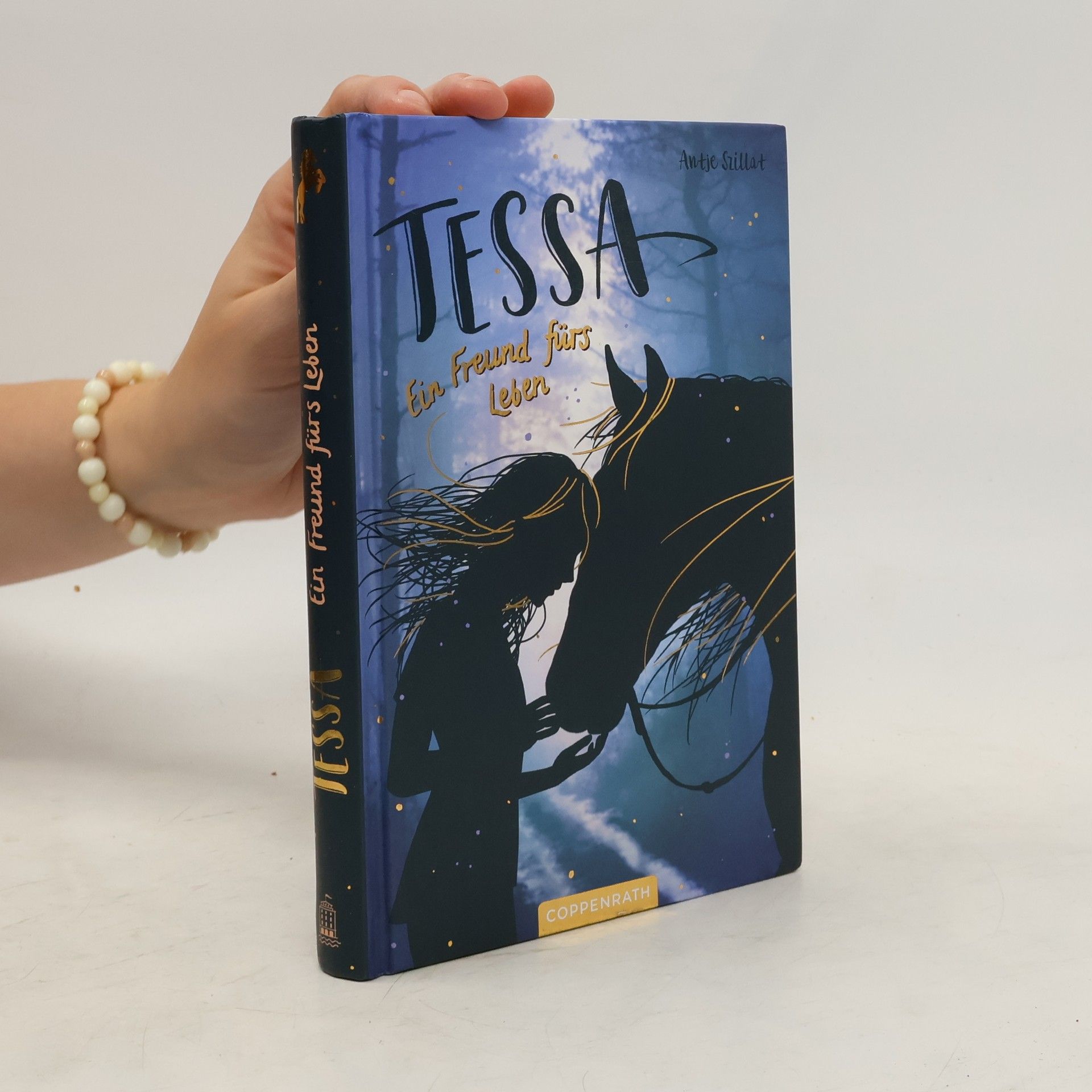 Antje Szillat Tessa (Bd. 3)