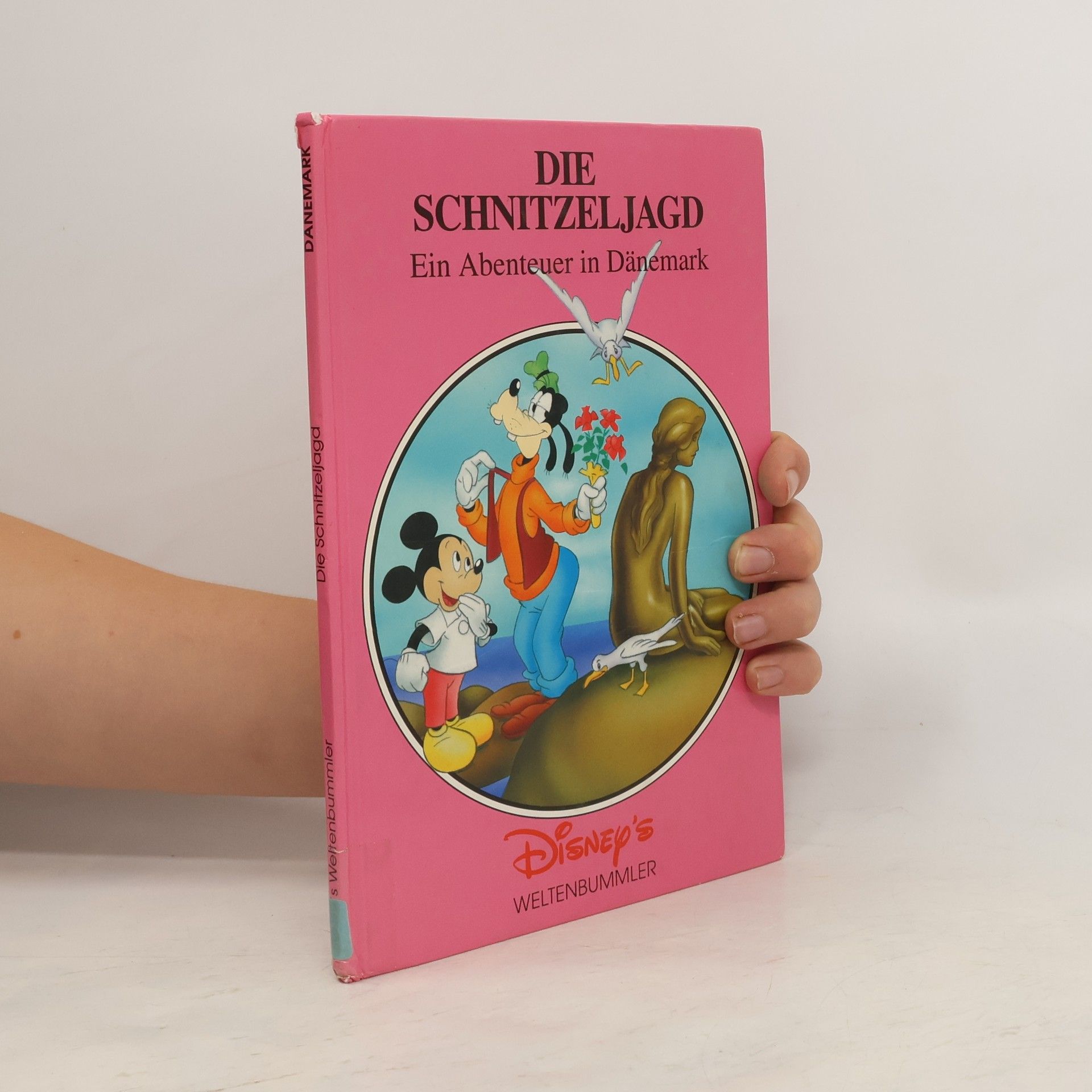 Autorenkollektiv Die Schnitzeljagd. Ein Abenteuer in Dänemark