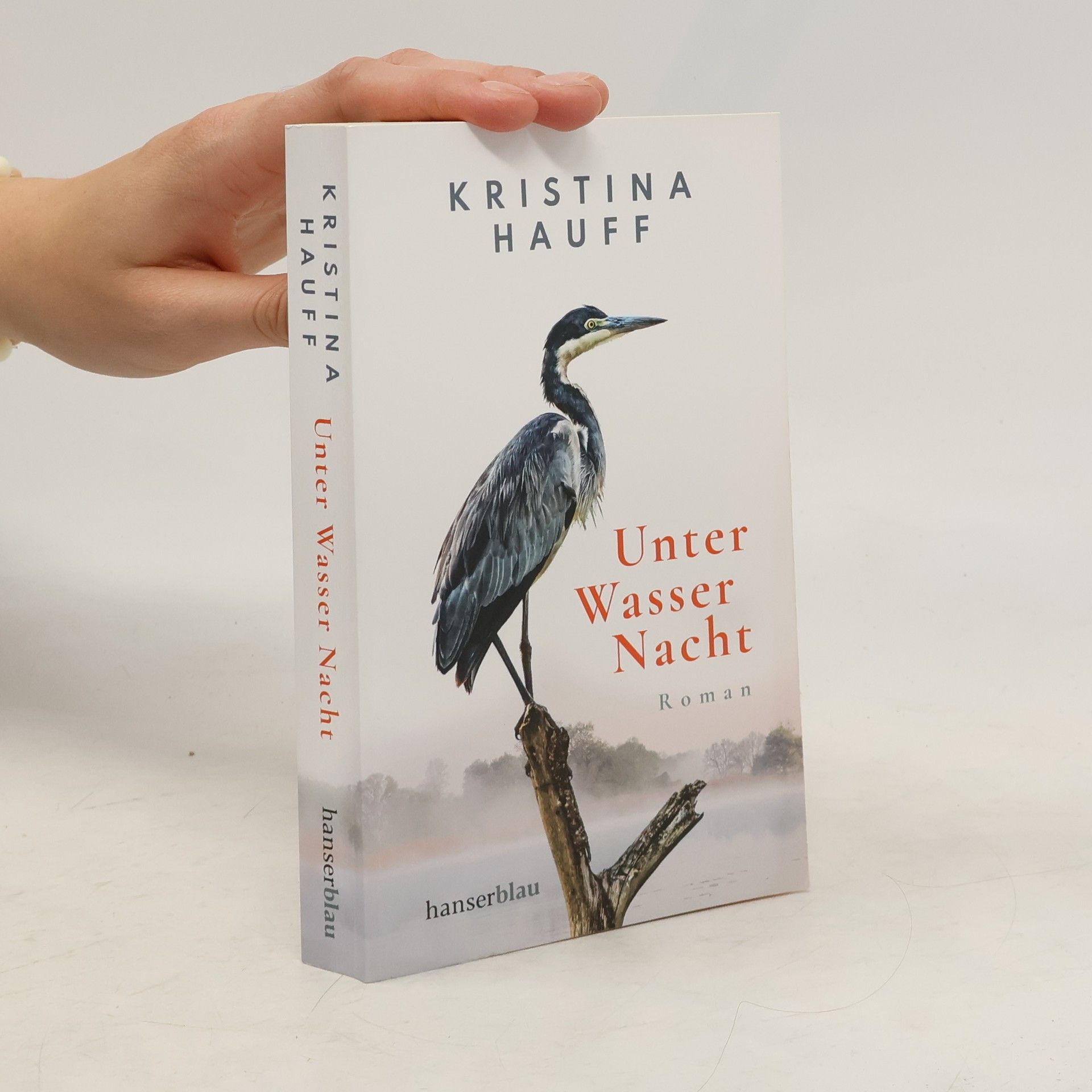 Kristina Hauff Unter Wasser Nacht
