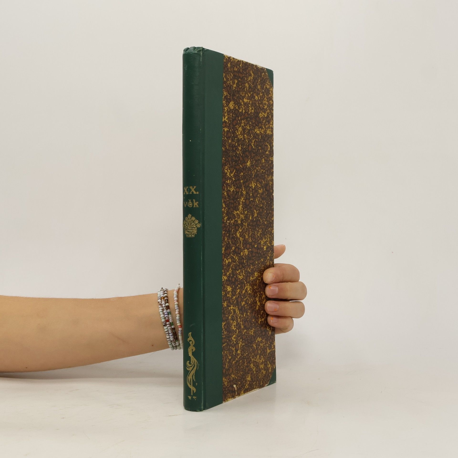 Autorenkollektiv Dvacátý věk