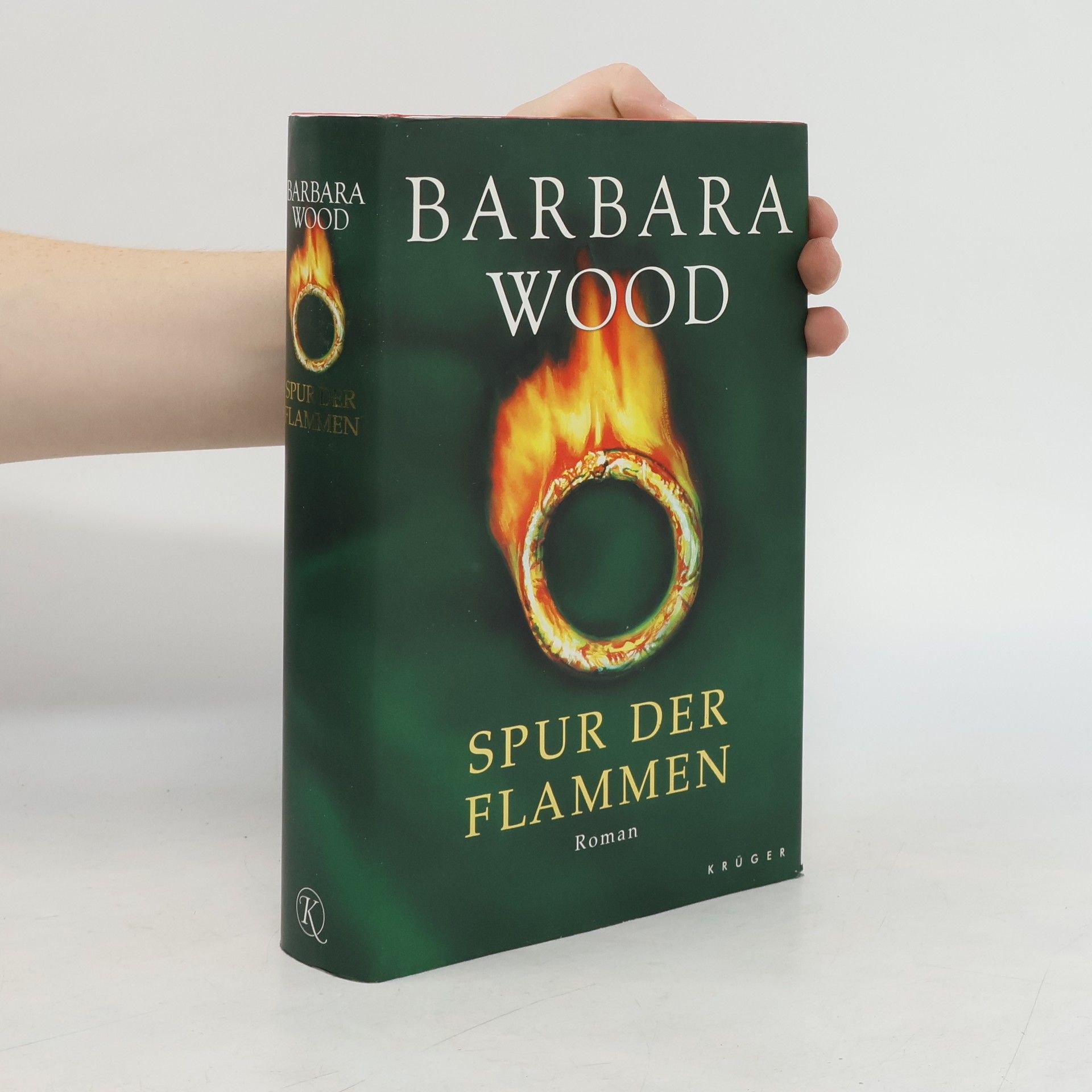 Barbara Wood Spur der Flammen