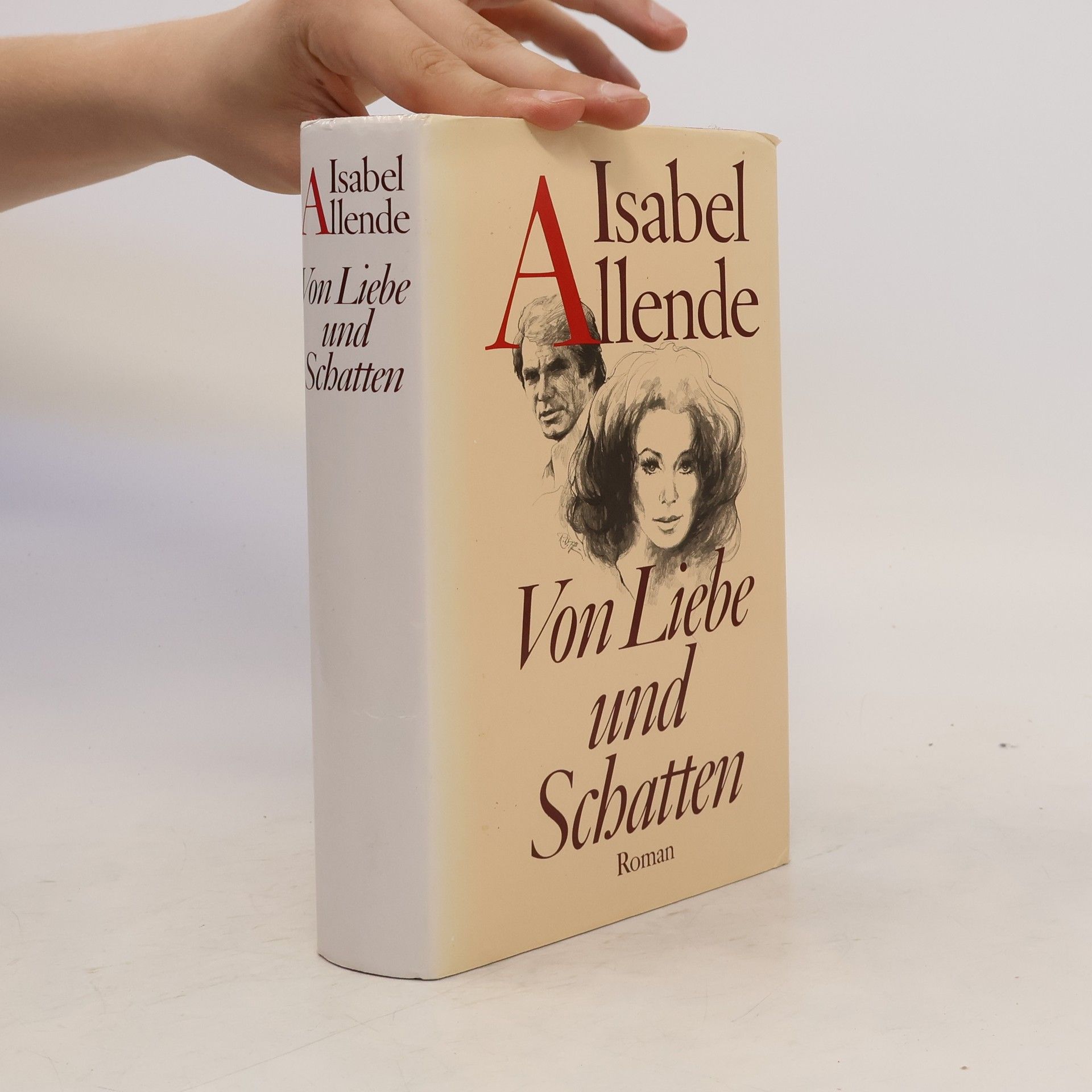 Isabel Allende Von Liebe und Schatten