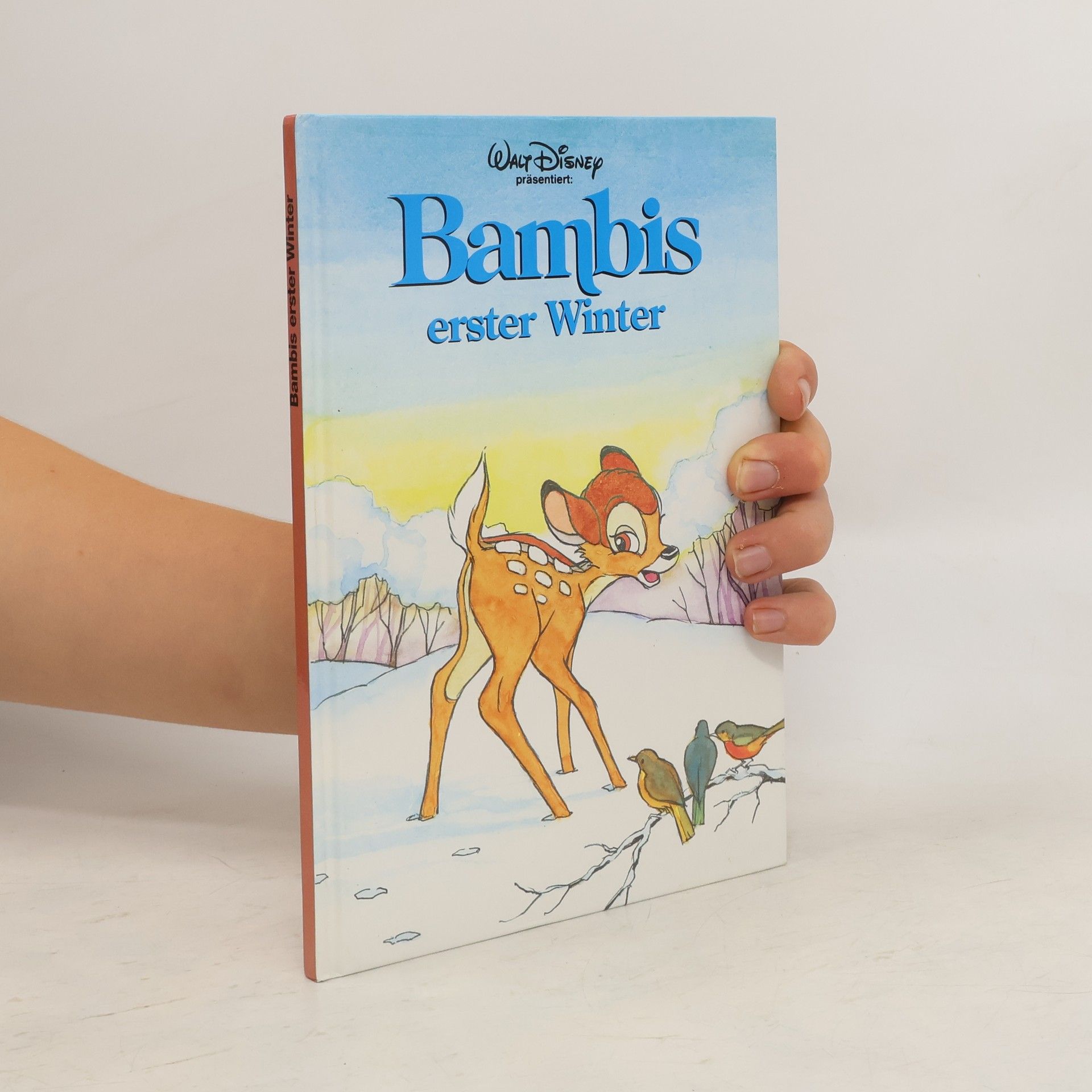 Collectif d'auteurs Bambis erster Winter