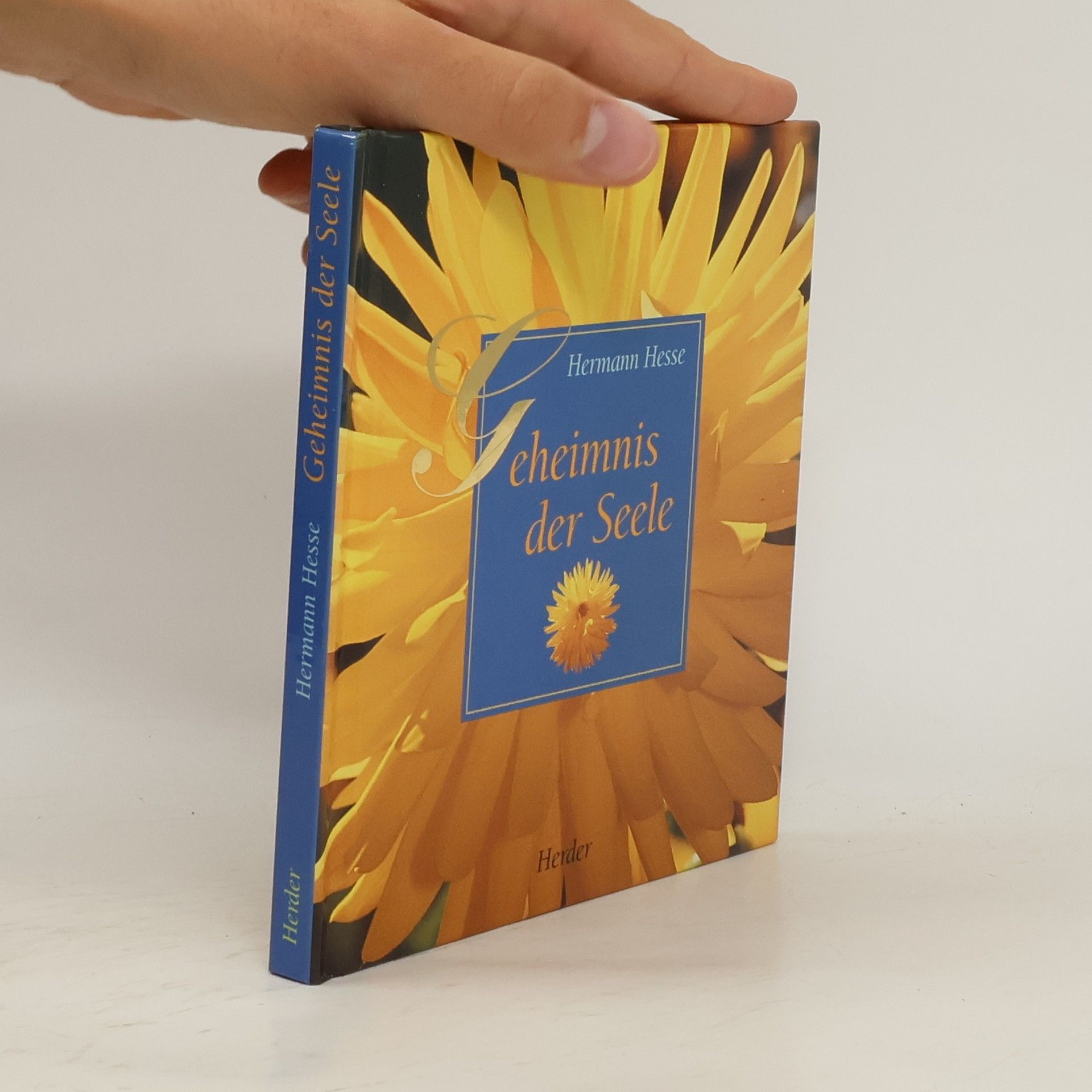 Hermann Hesse Geheimnis der Seele