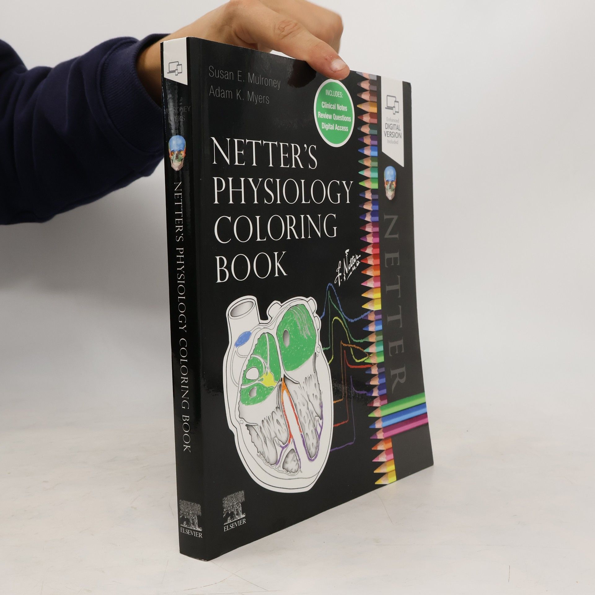 Susan Mulroney Netter's Physiology Coloring Book