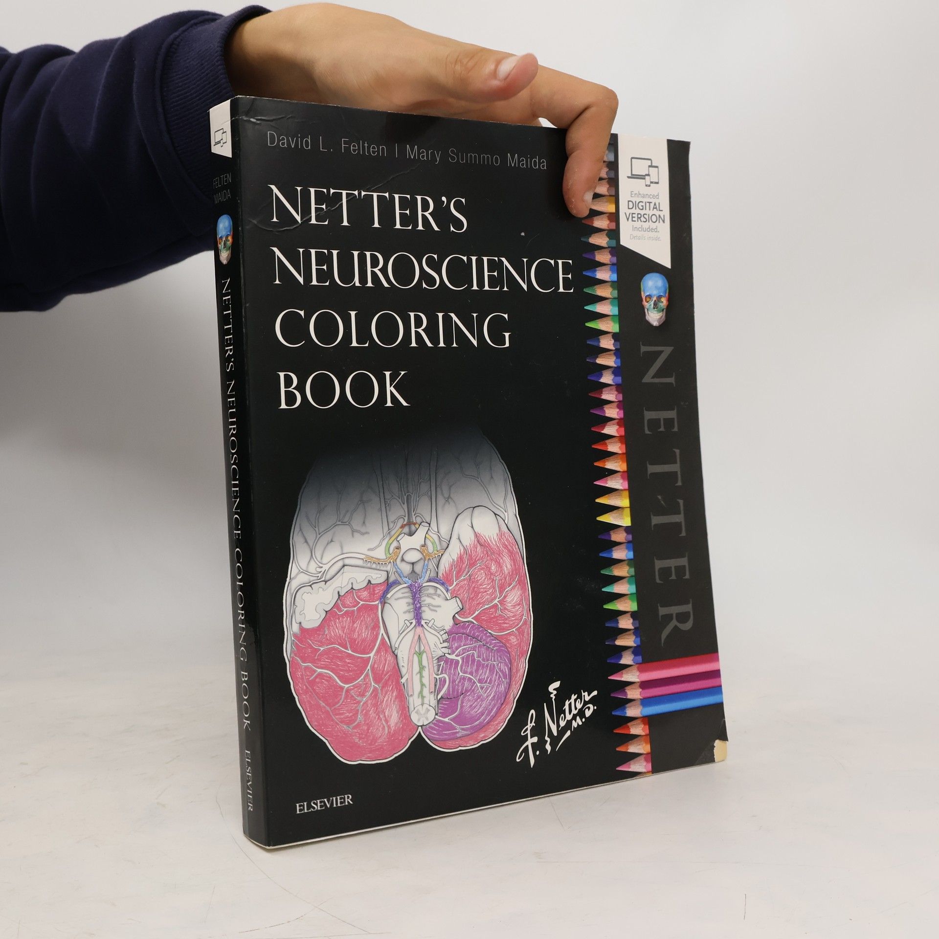 David L. Felten Netter's Neuroscience Coloring Book