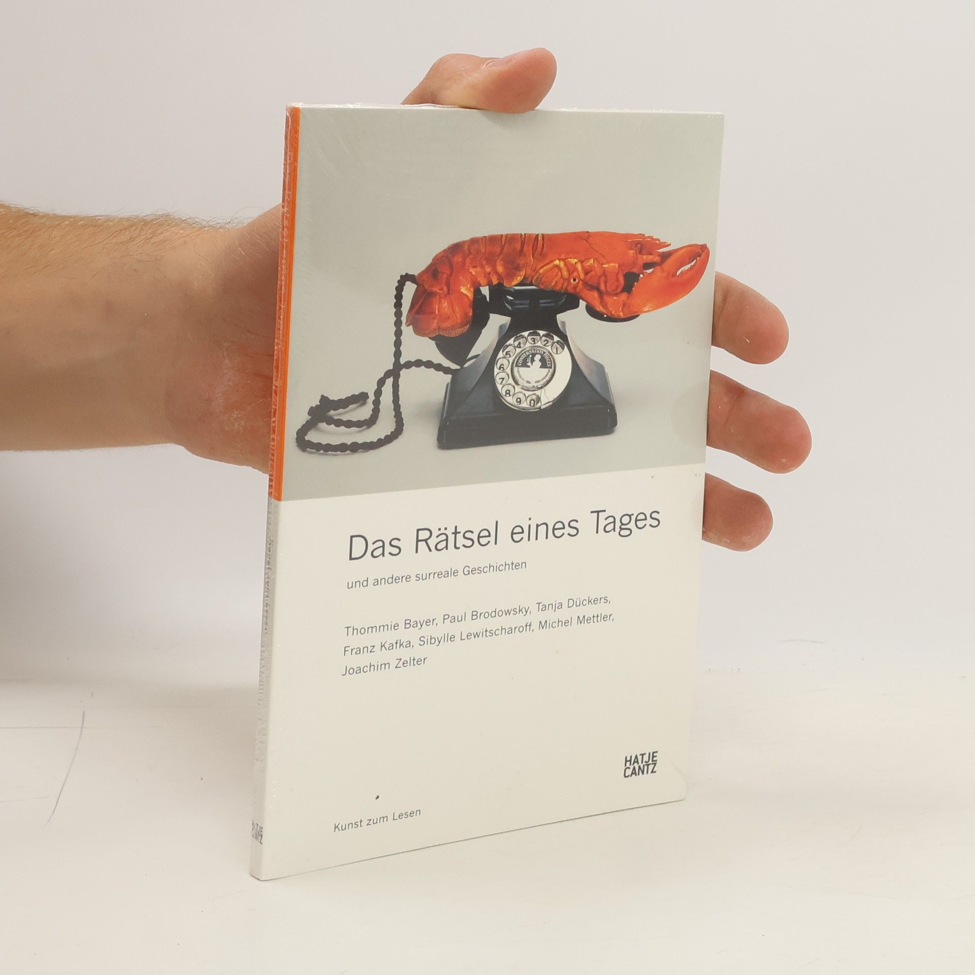 Thommie Bayer Das Rätsel eines Tages und andere surreale Geschichten