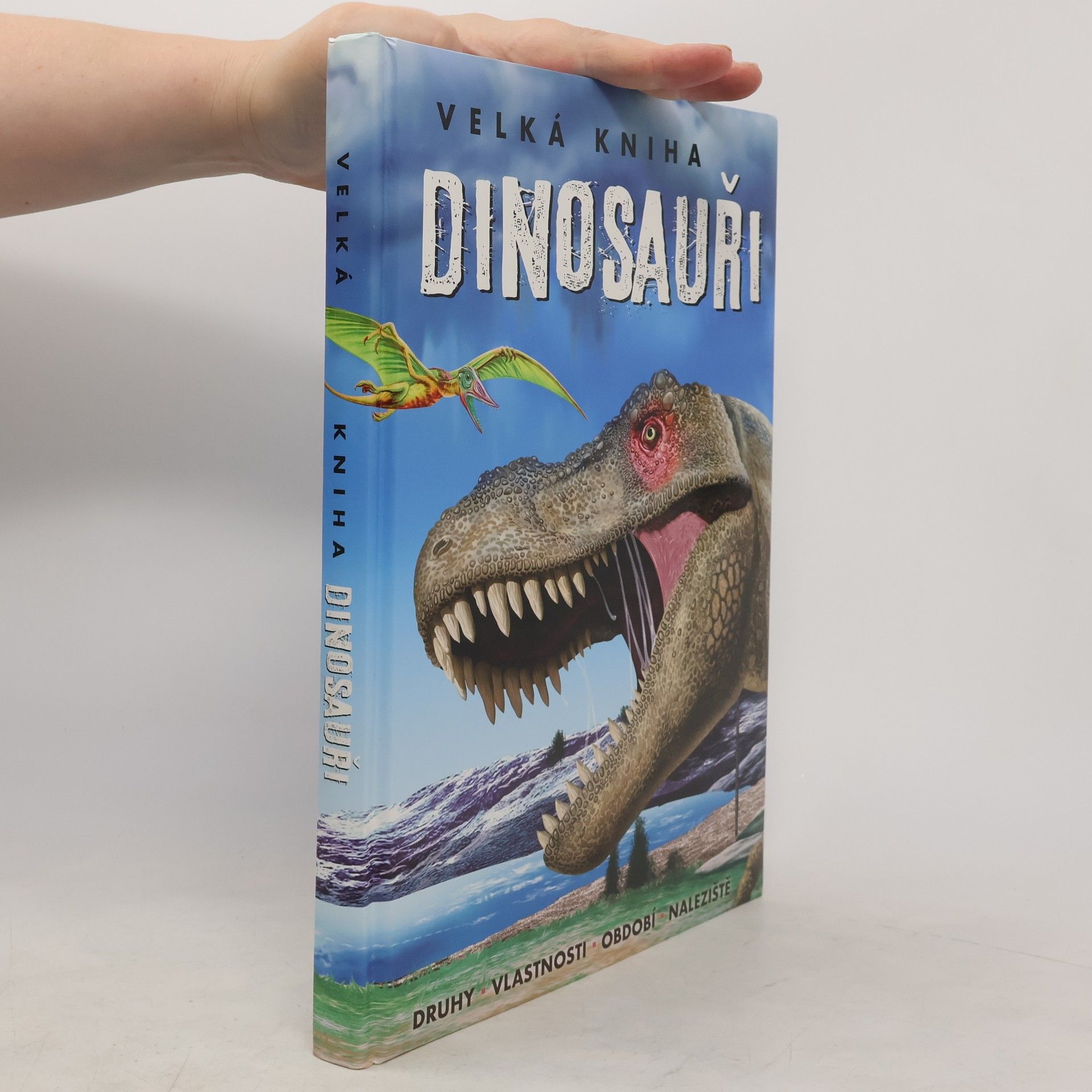 Collectif d'auteurs Velká kniha. Dinosauři