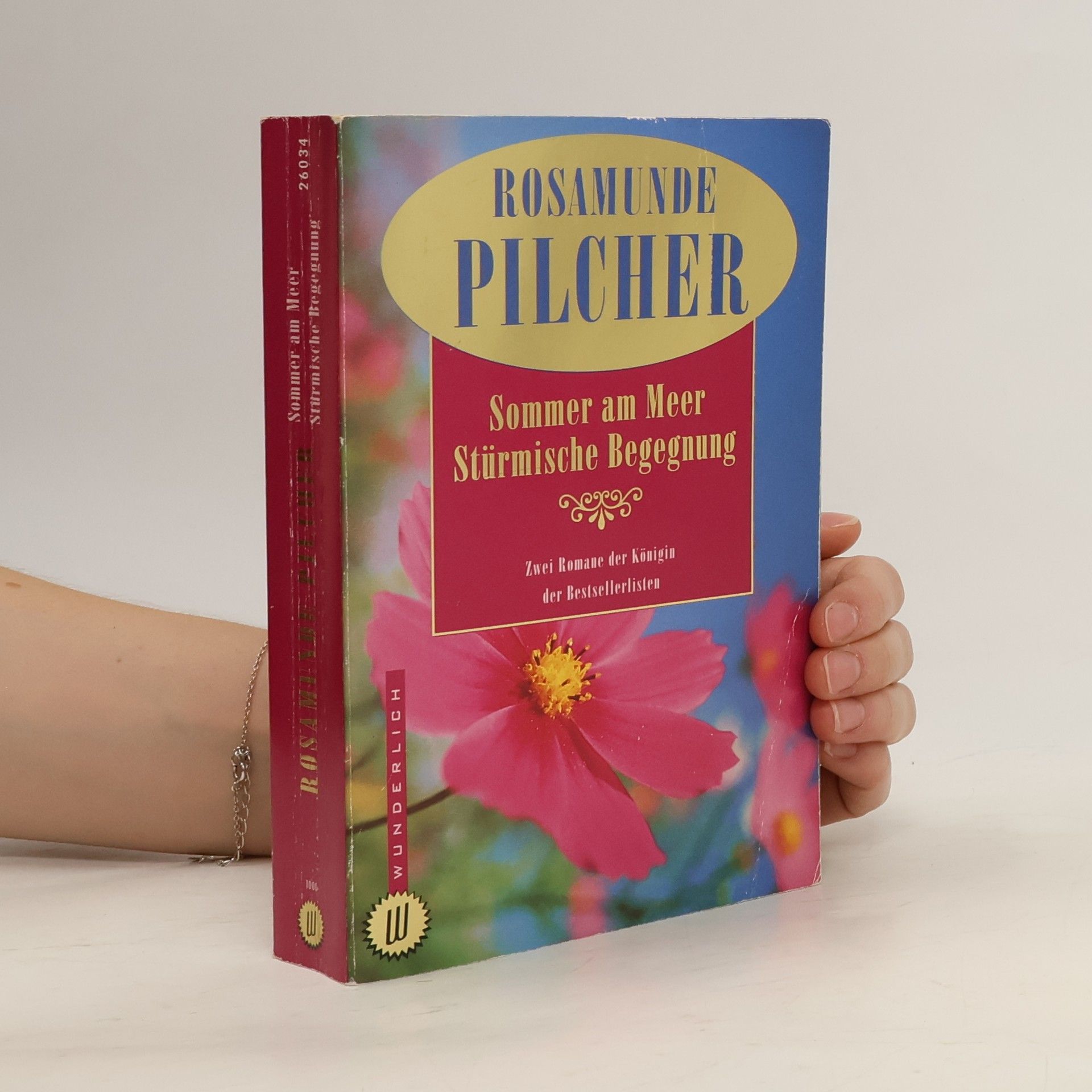 Rosamunde Pilcher Sommer am Meer Stürmische Begegnung