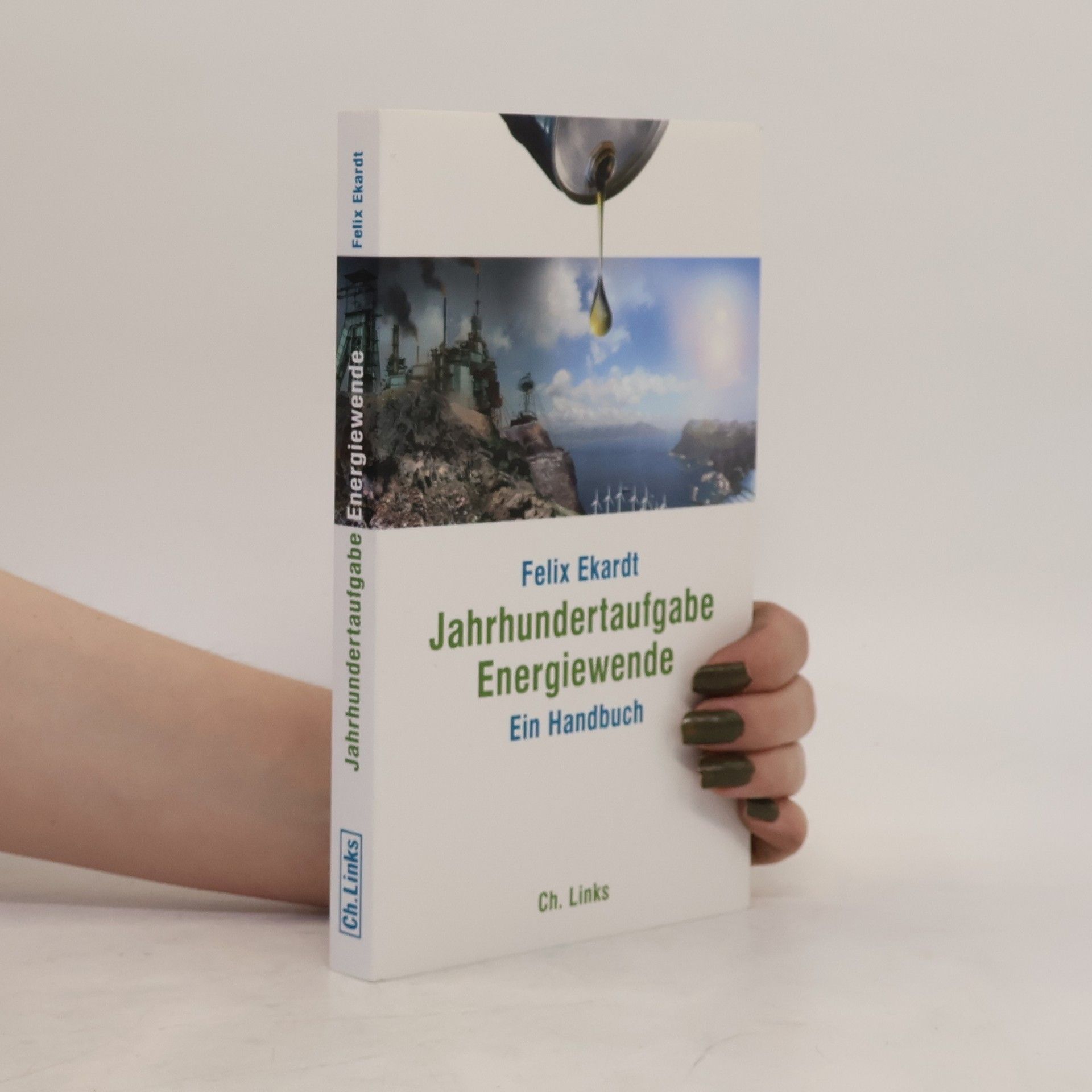 Felix Ekardt Jahrhundertaufgabe Energiewende