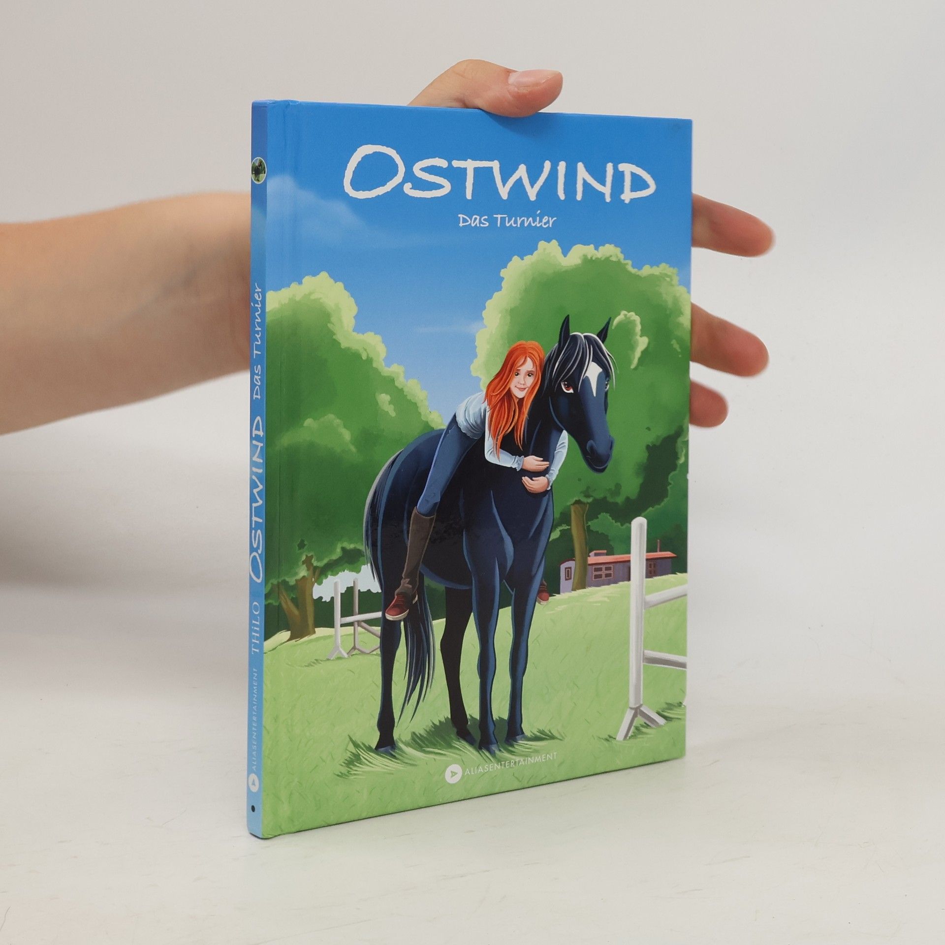 Thilo Petry-Lassak Ostwind - das Turnier