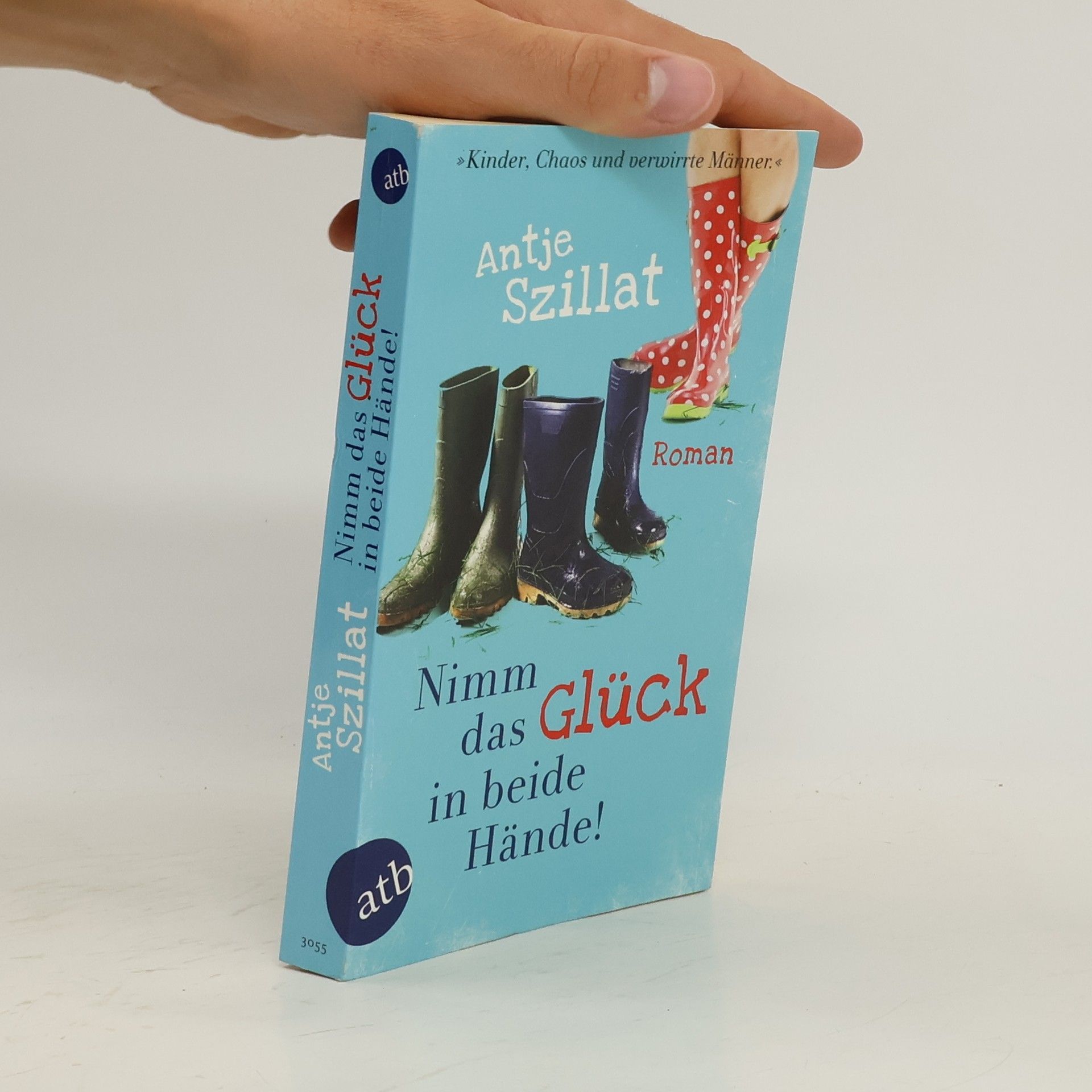 Antje Szillat Nimm das Glück in beide Hände!