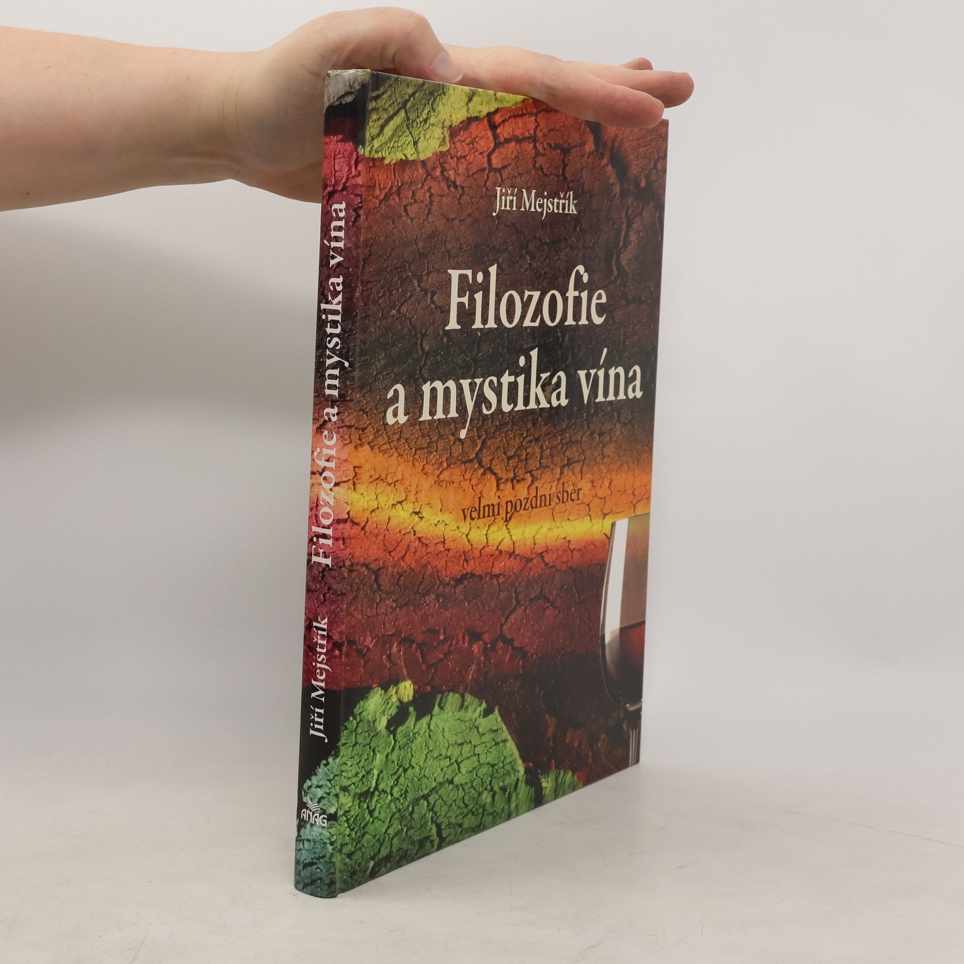 Jiří Mejstřík Filozofie a mystika vína