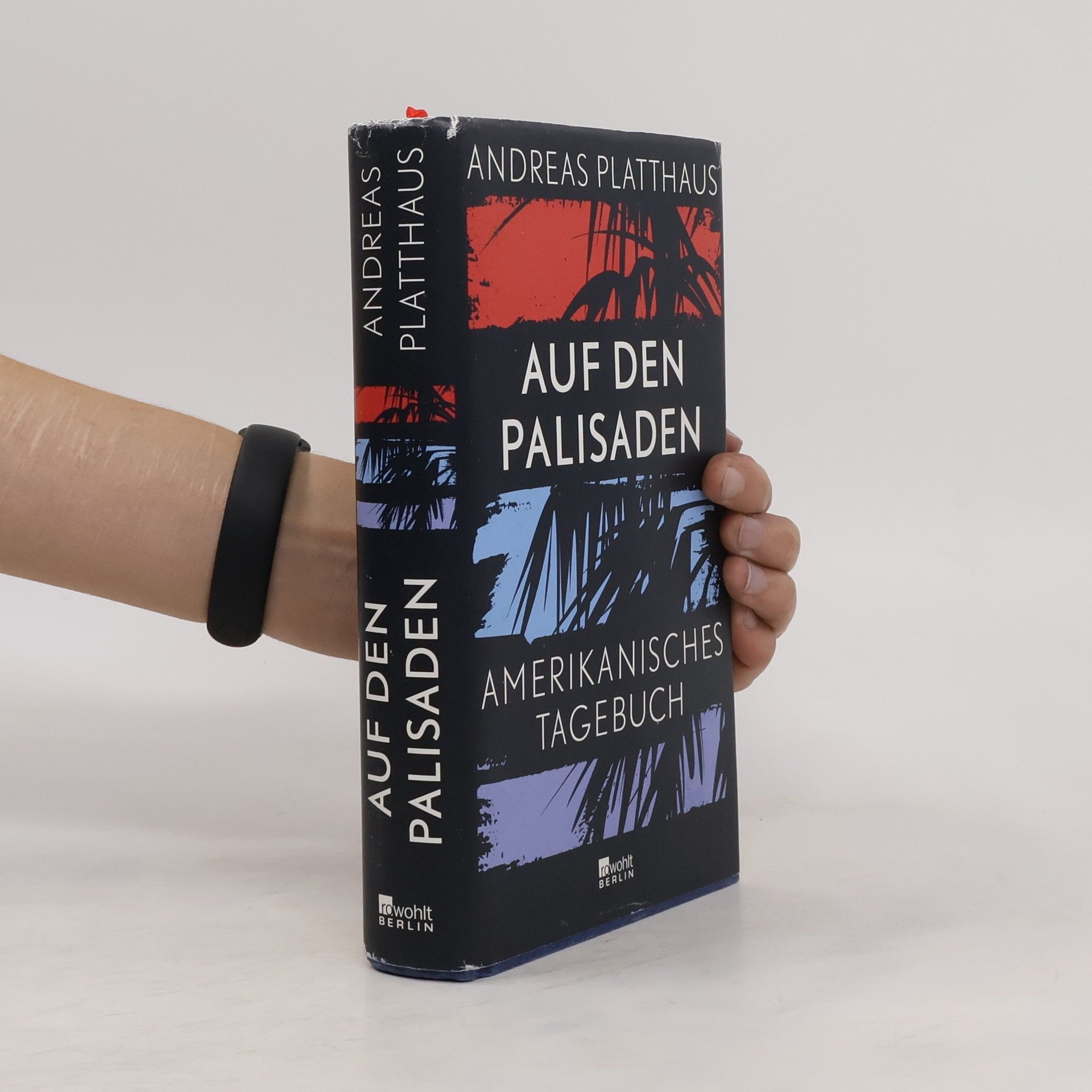 Andreas Platthaus Auf den Palisaden