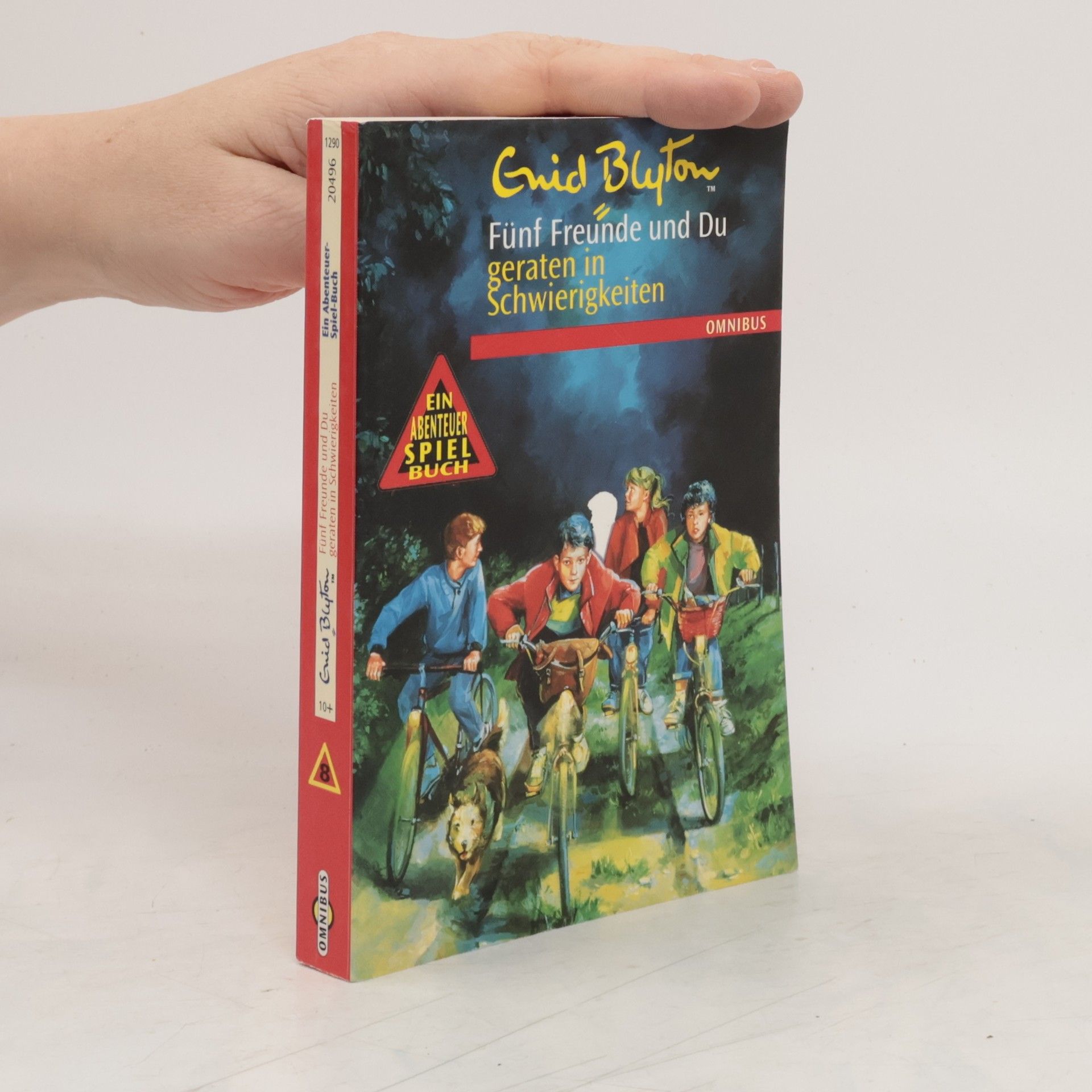 Enid Blyton Fünf Freunde und Du geraten in Schwierigkeiten