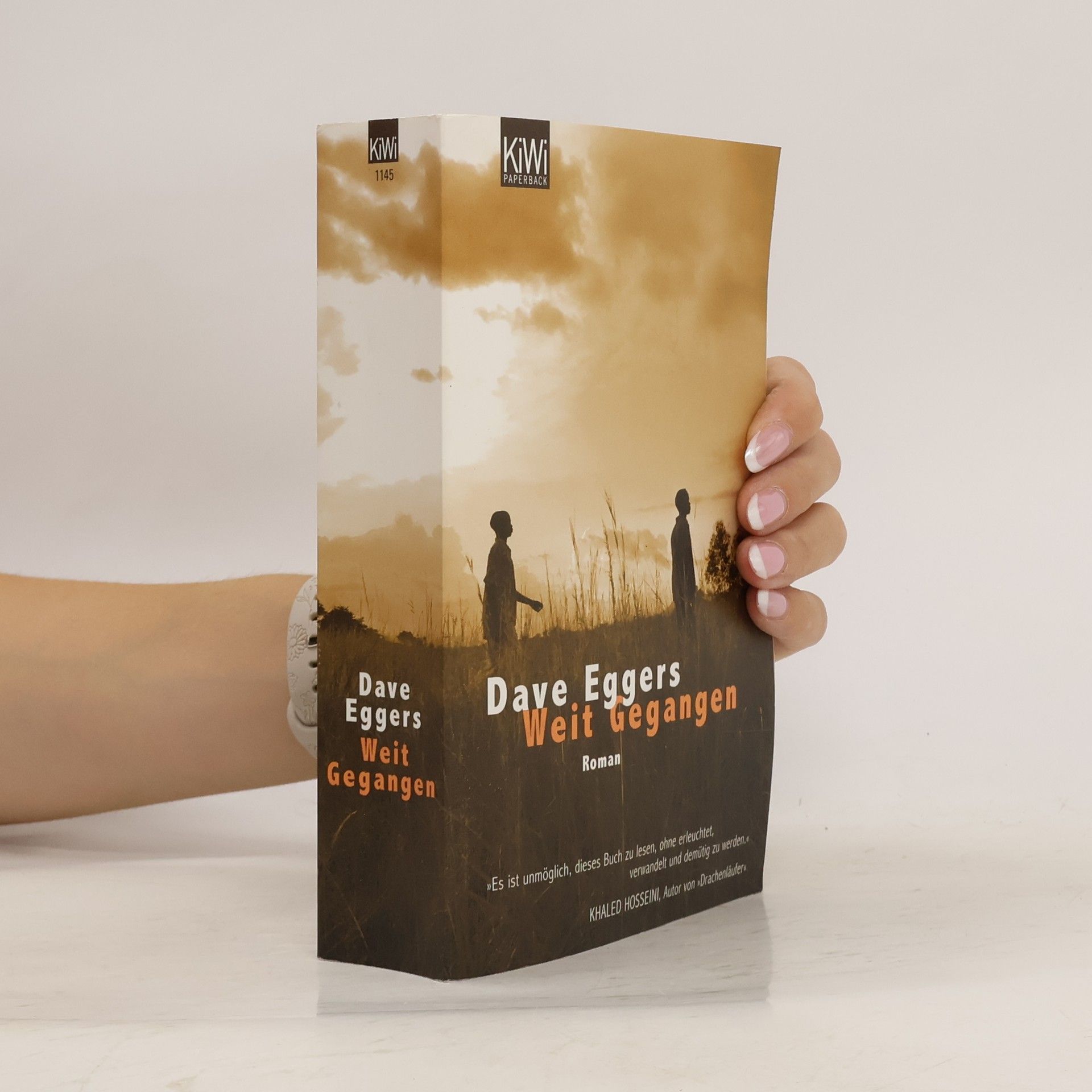 Dave Eggers Weit gegangen
