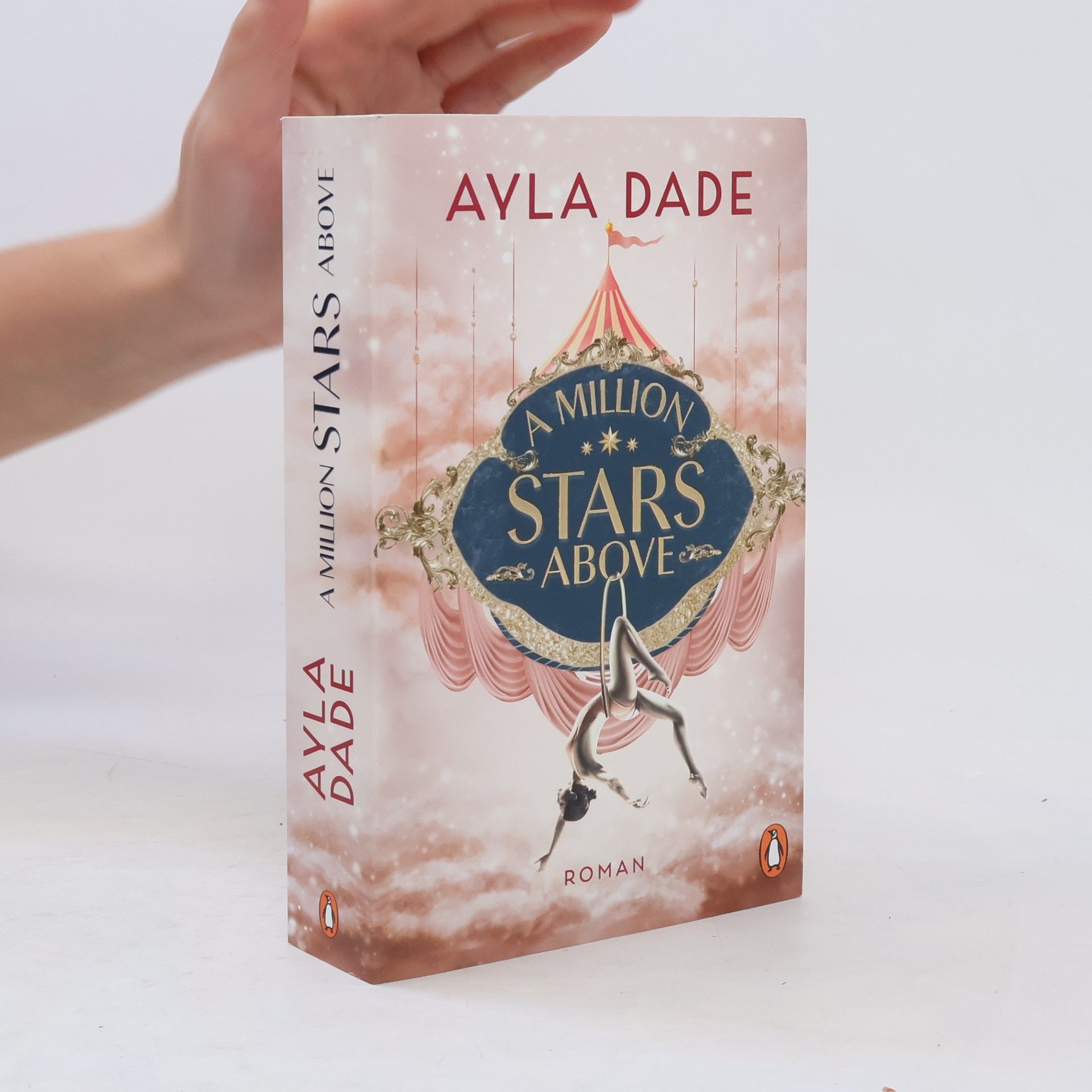 Ayla Dade A Million Stars Above / Sky Circus Bd.1