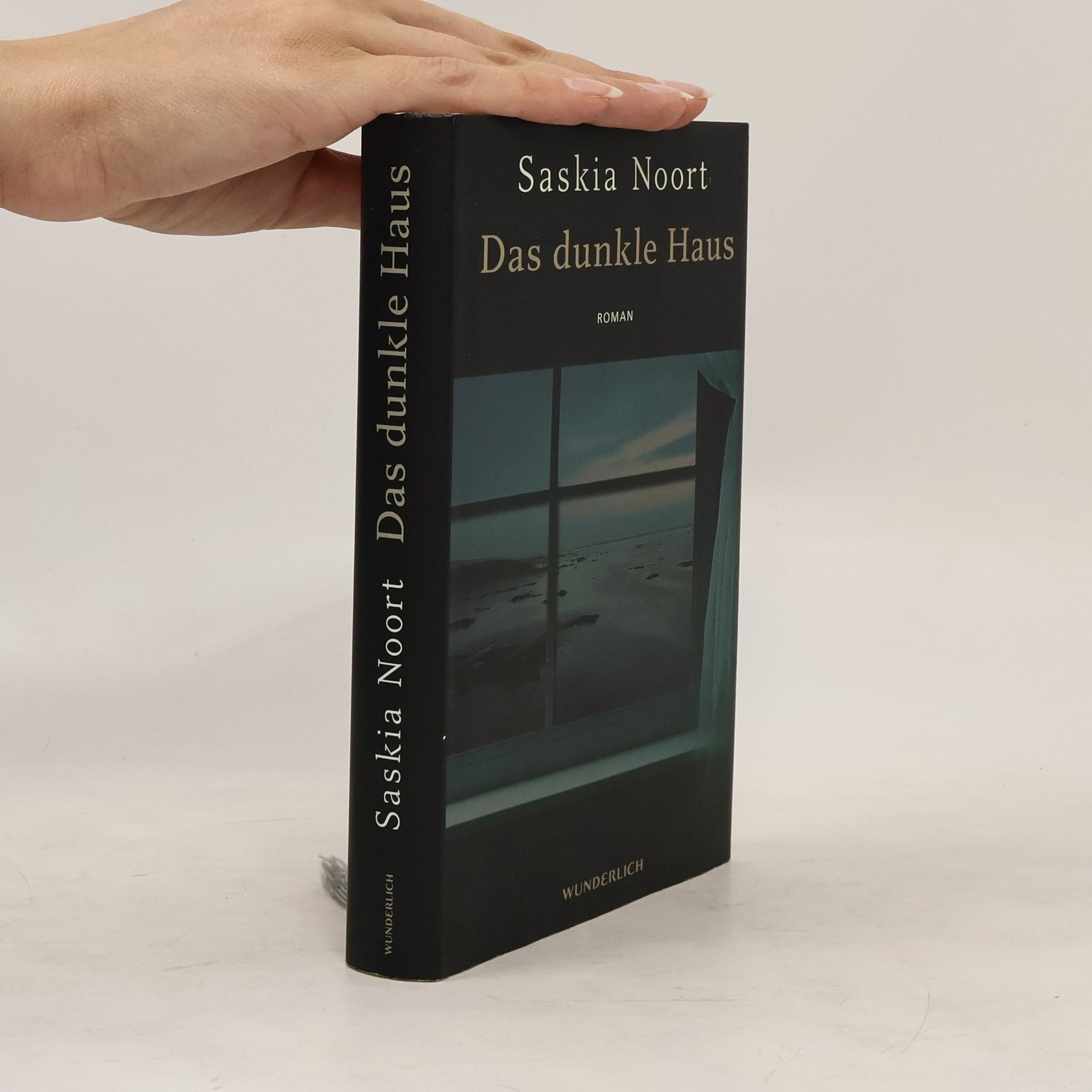 Saskia Noort Das dunkle Haus