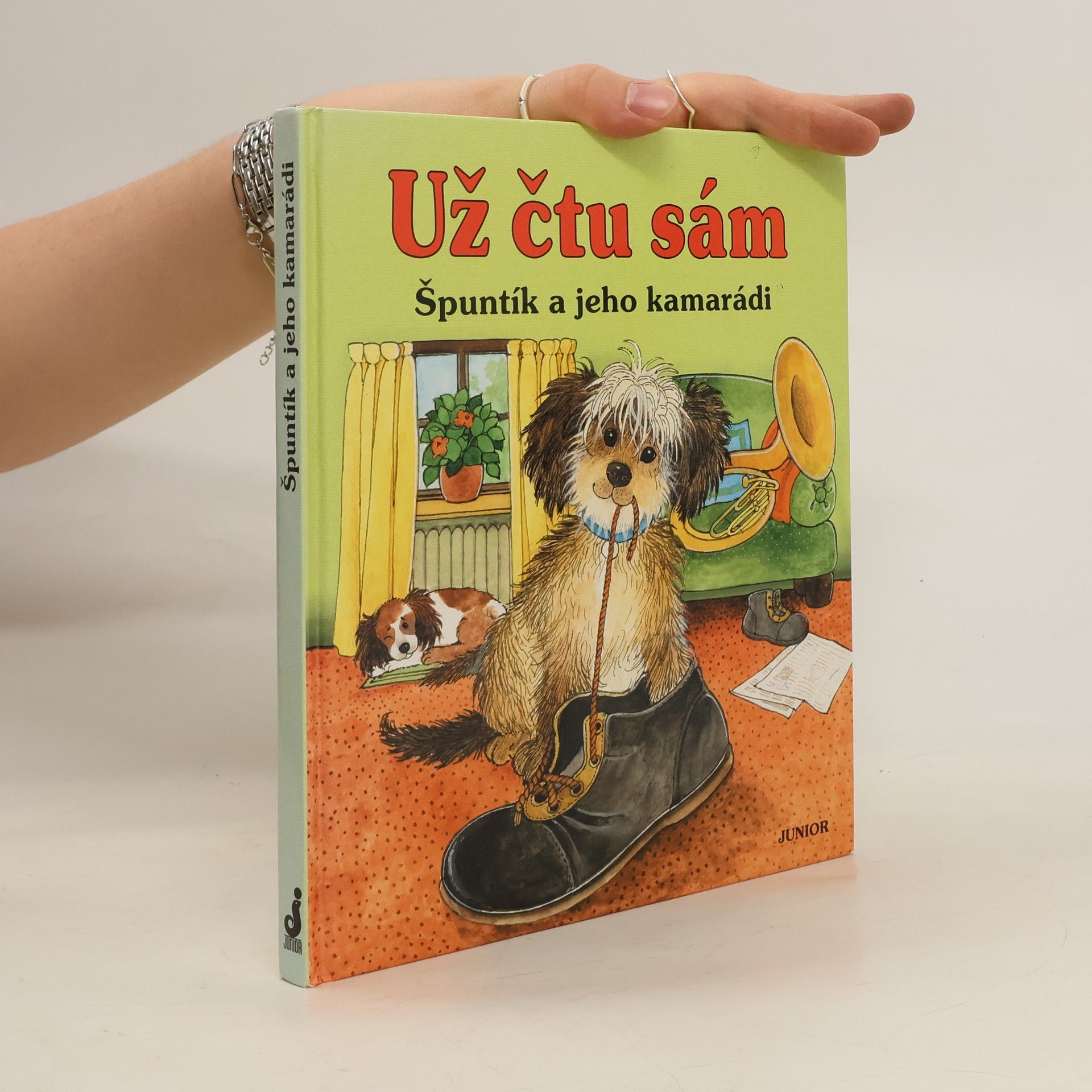 Dagmar Steidl Špuntík a jeho kamarádi