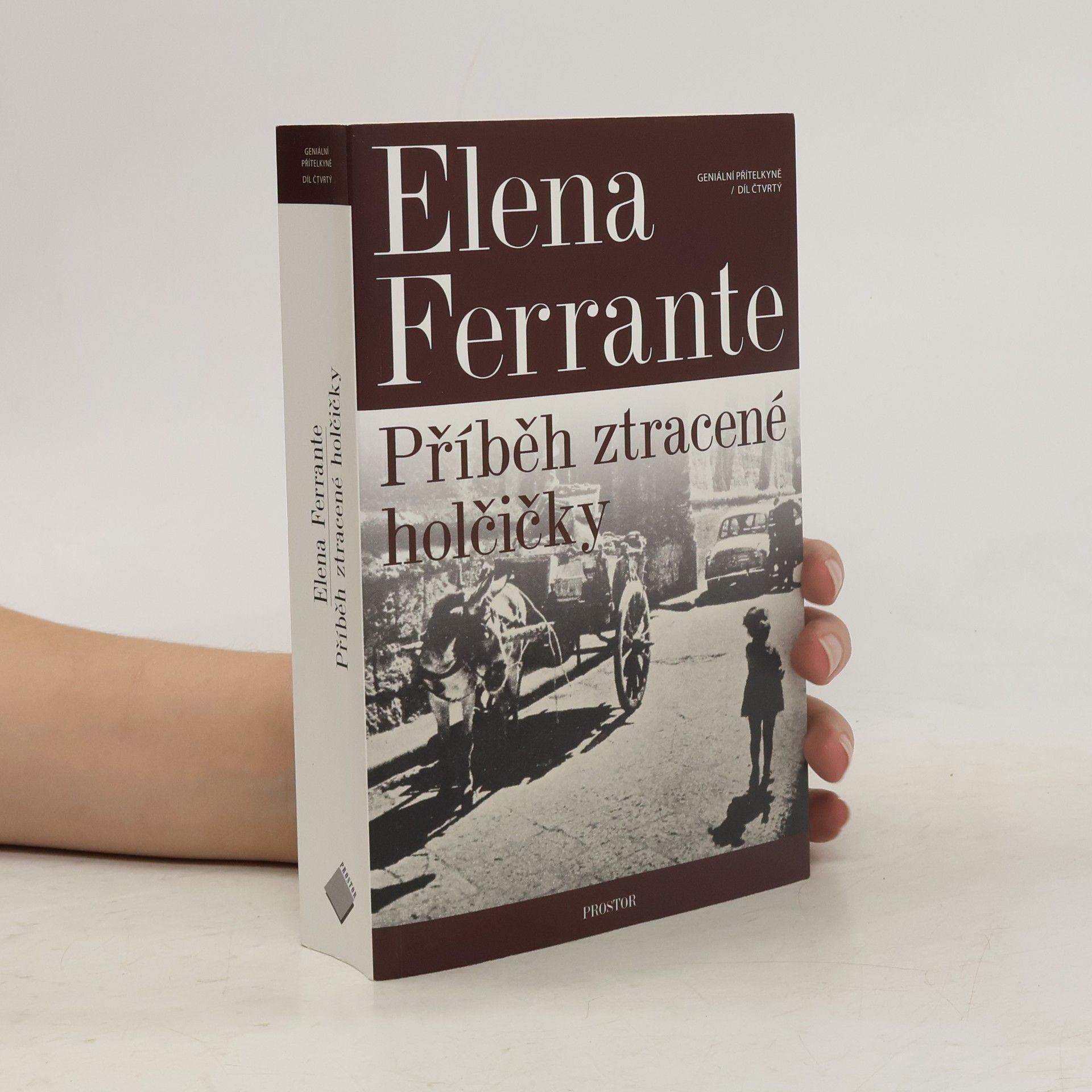 Elena Ferrante Příběh ztracené holčičky. Geniální přítelkyně. 4. díl