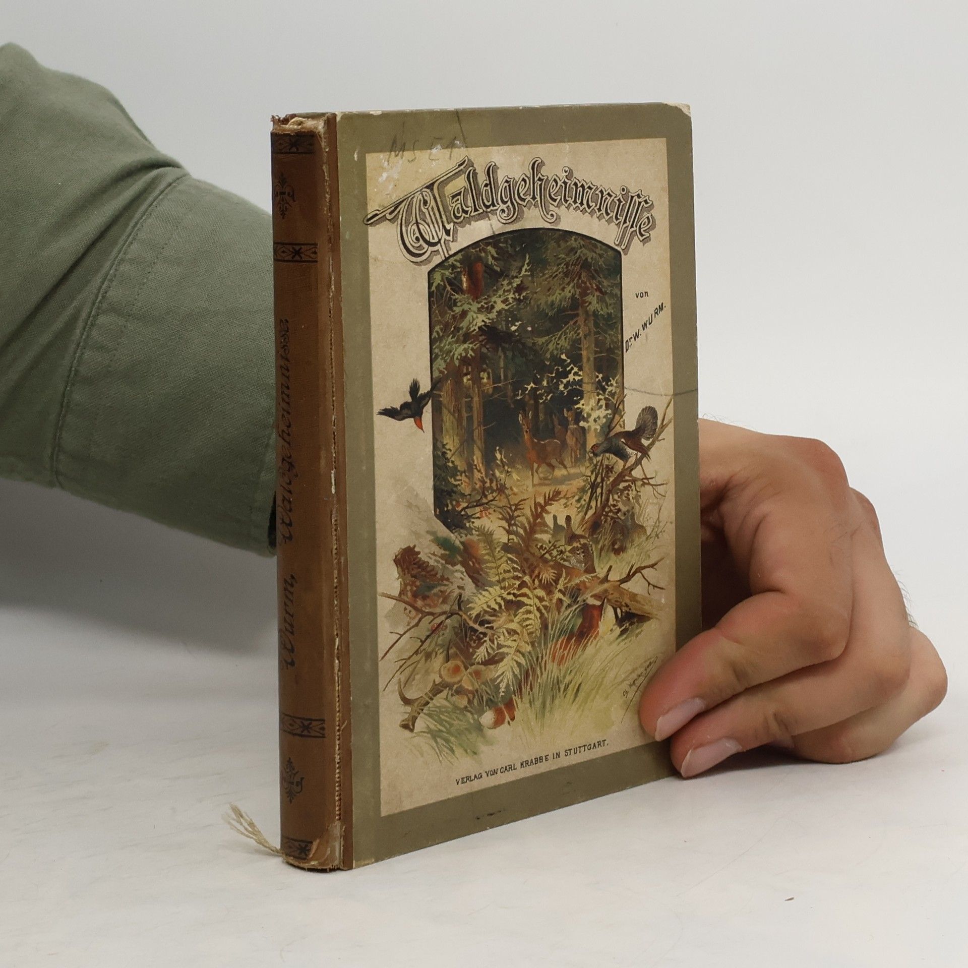 Wilhelm Wurm Waldgeheimnisse