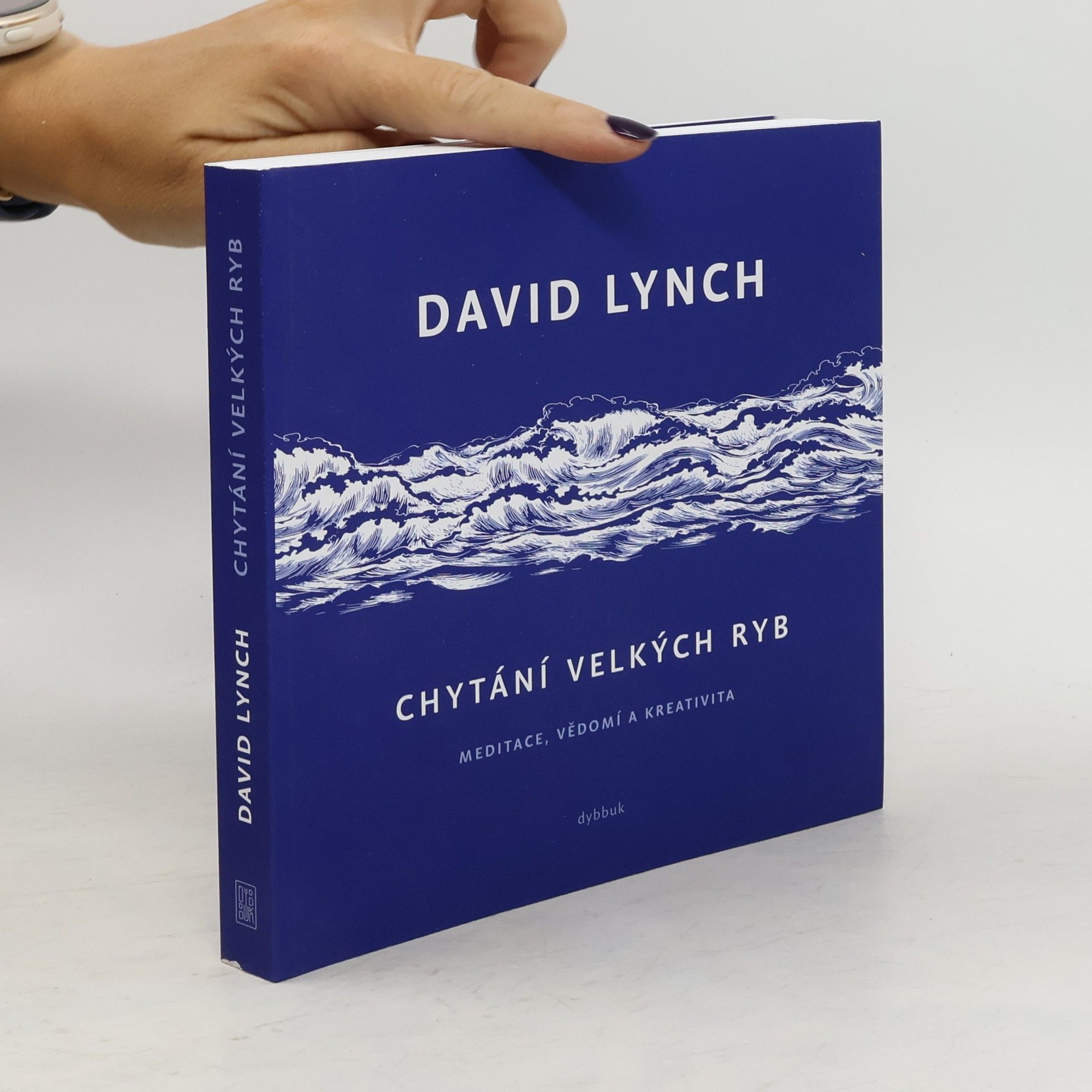 David Lynch Chytání velkých ryb