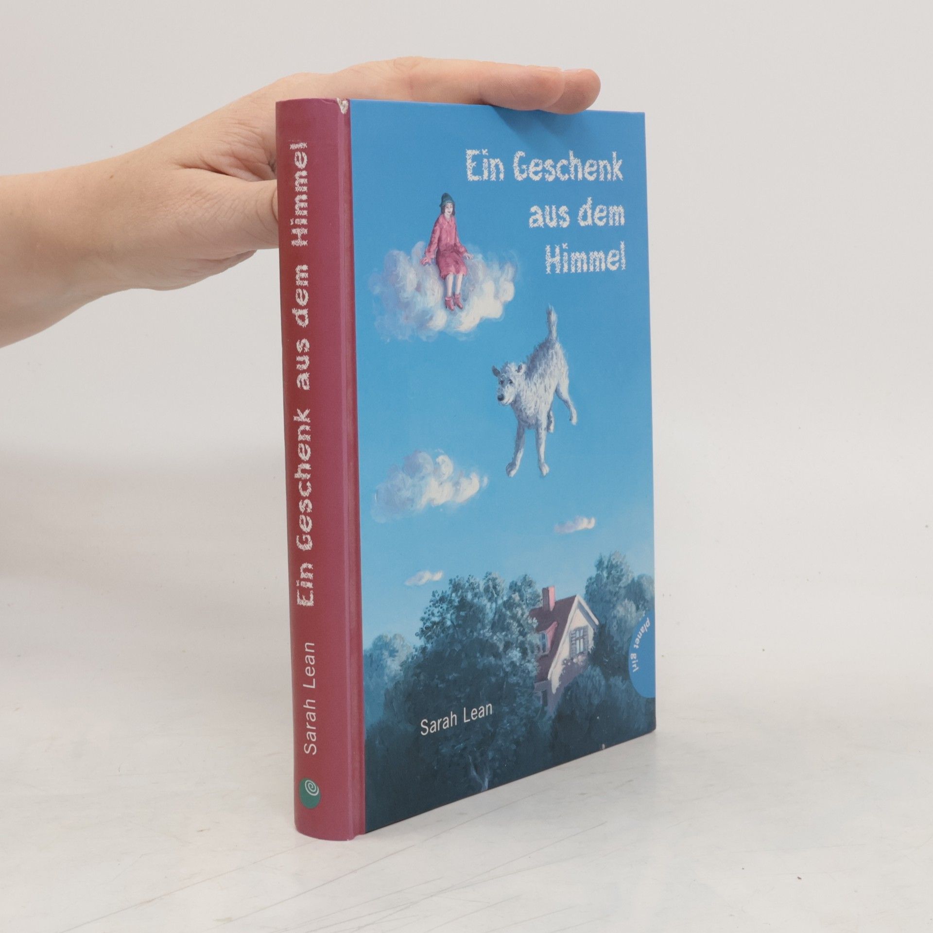 Sarah Lean Ein Geschenk aus dem Himmel
