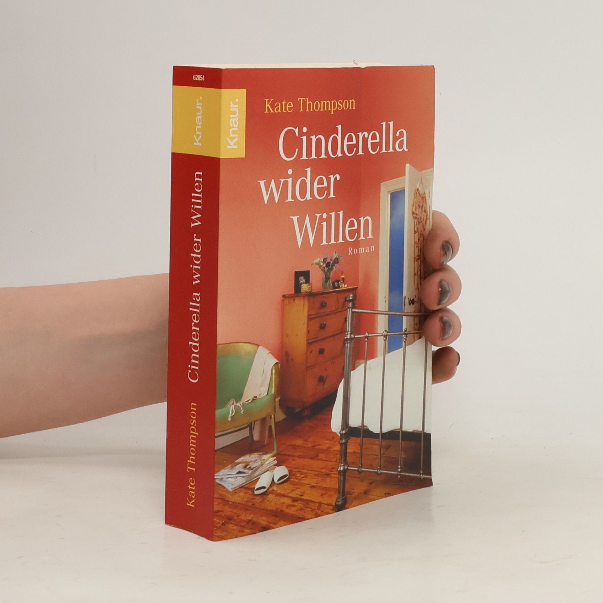 Kate Thompson Cinderella wider Willen. Roman