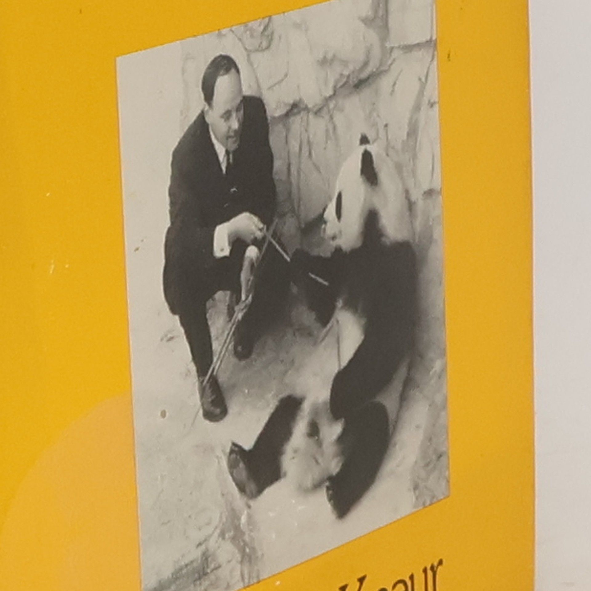 Desmond Morris Mein Leben mit Tieren
