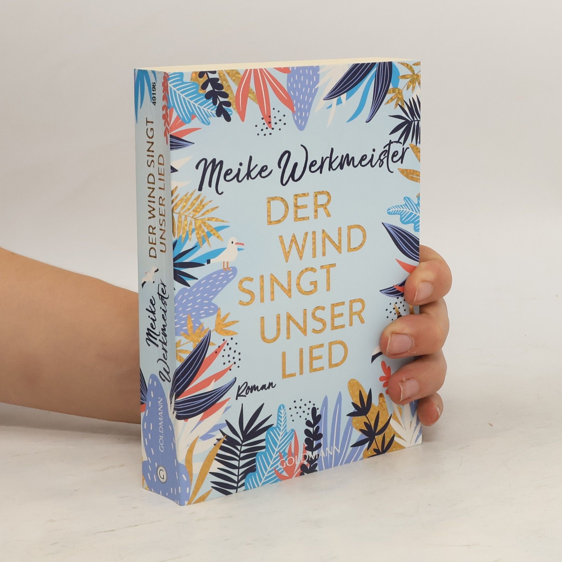 Meike Werkmeister Der Wind singt unser Lied