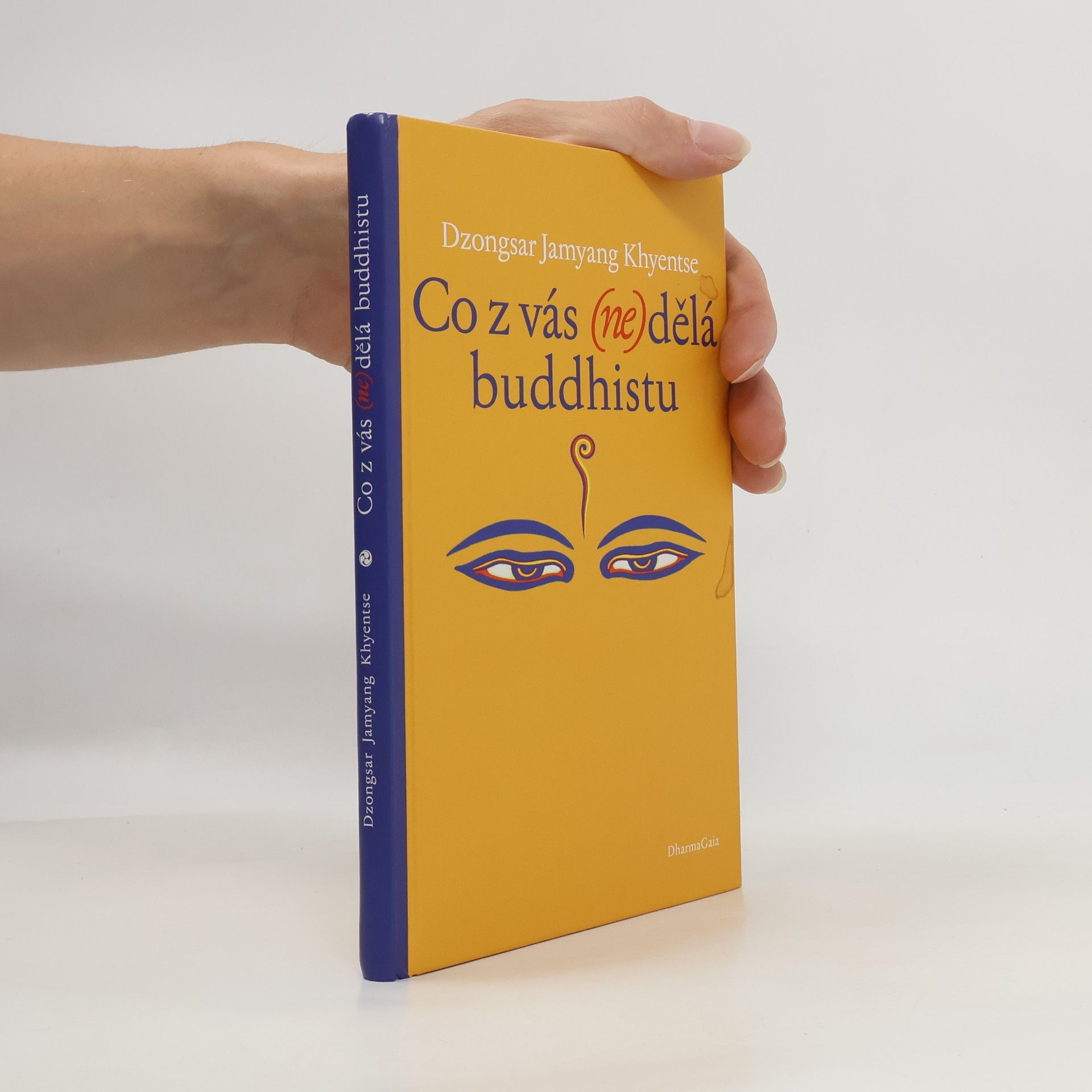 Jamyang Khyentse Co z vás (ne)dělá buddhistu