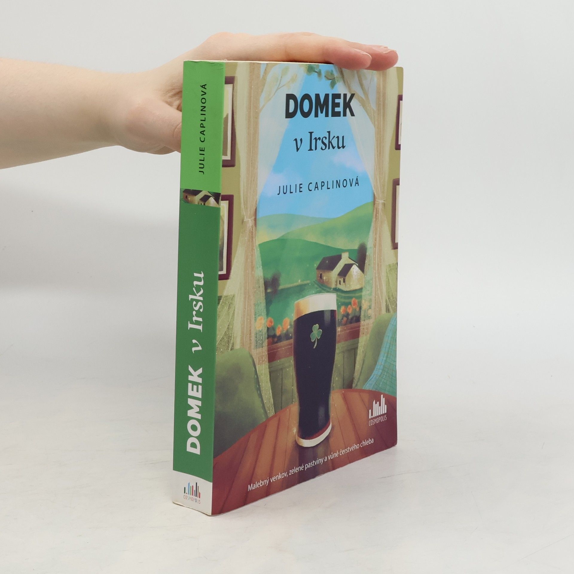 Julie Caplin Domek v Irsku