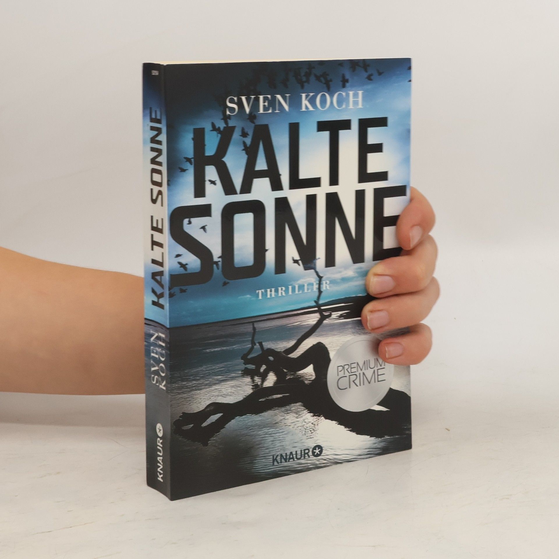 Sven Koch Kalte Sonne