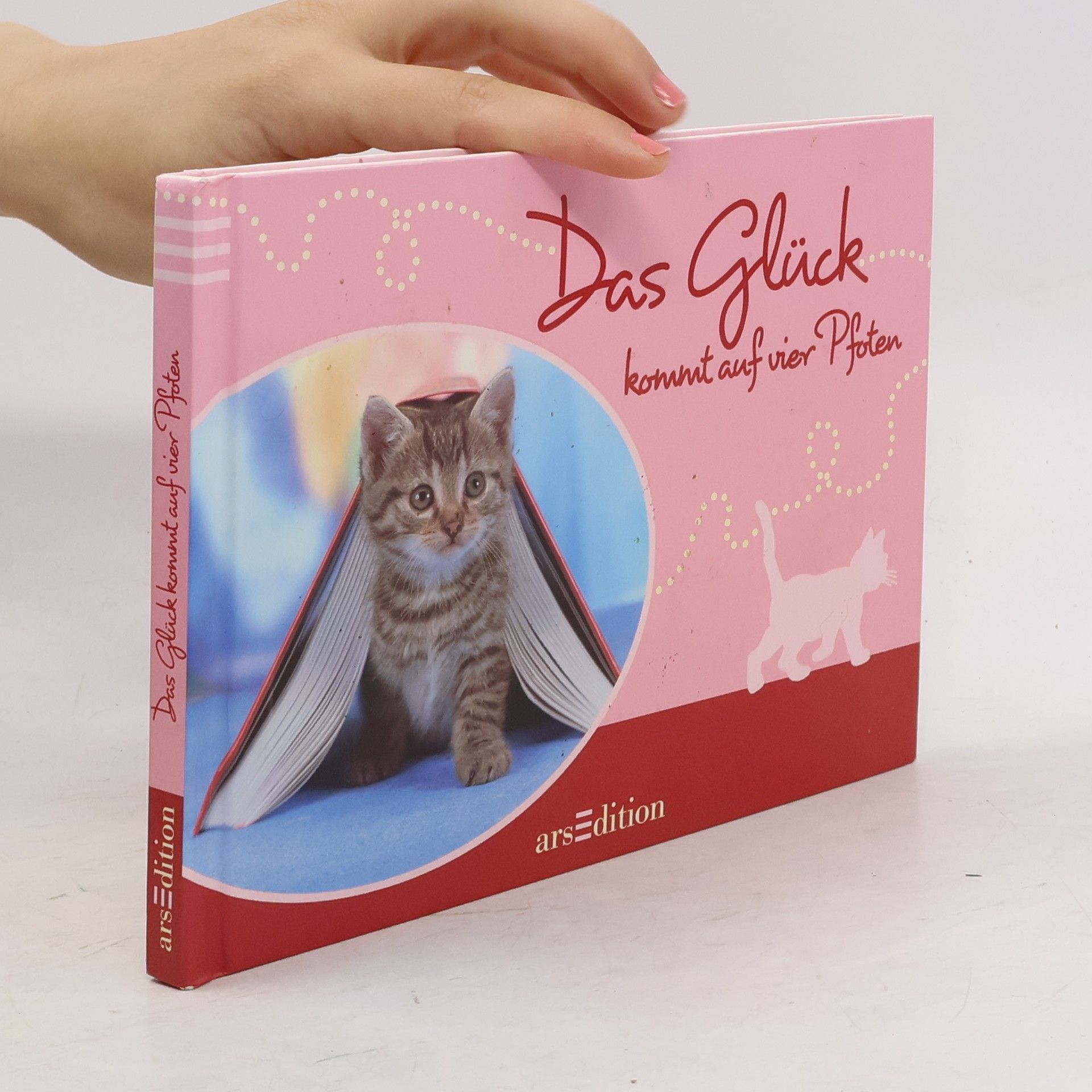 Collective Das Glück kommt auf vier Pfoten