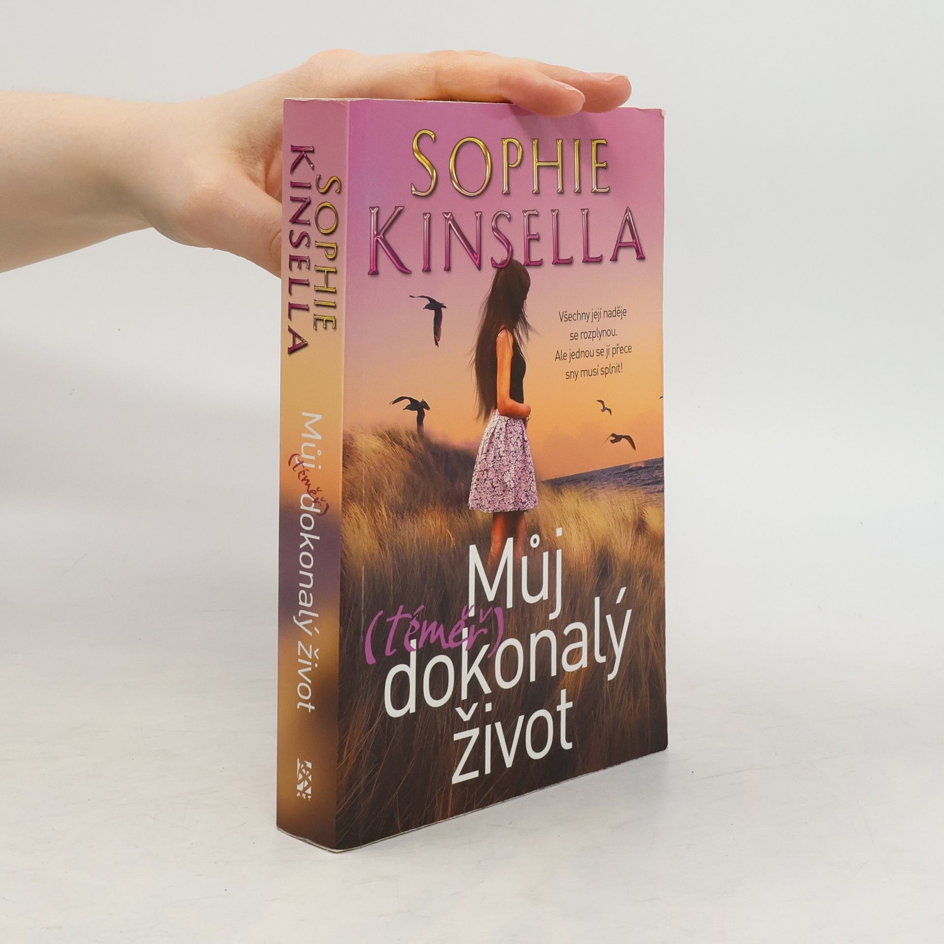 Madeleine Wickham Můj (téměř) dokonalý život