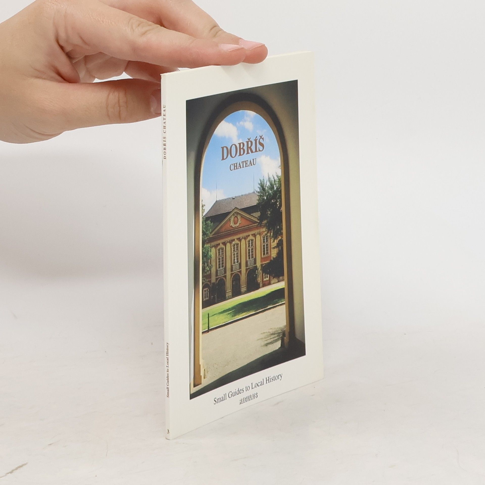 Kolektiv autorů Dobříš Chateau