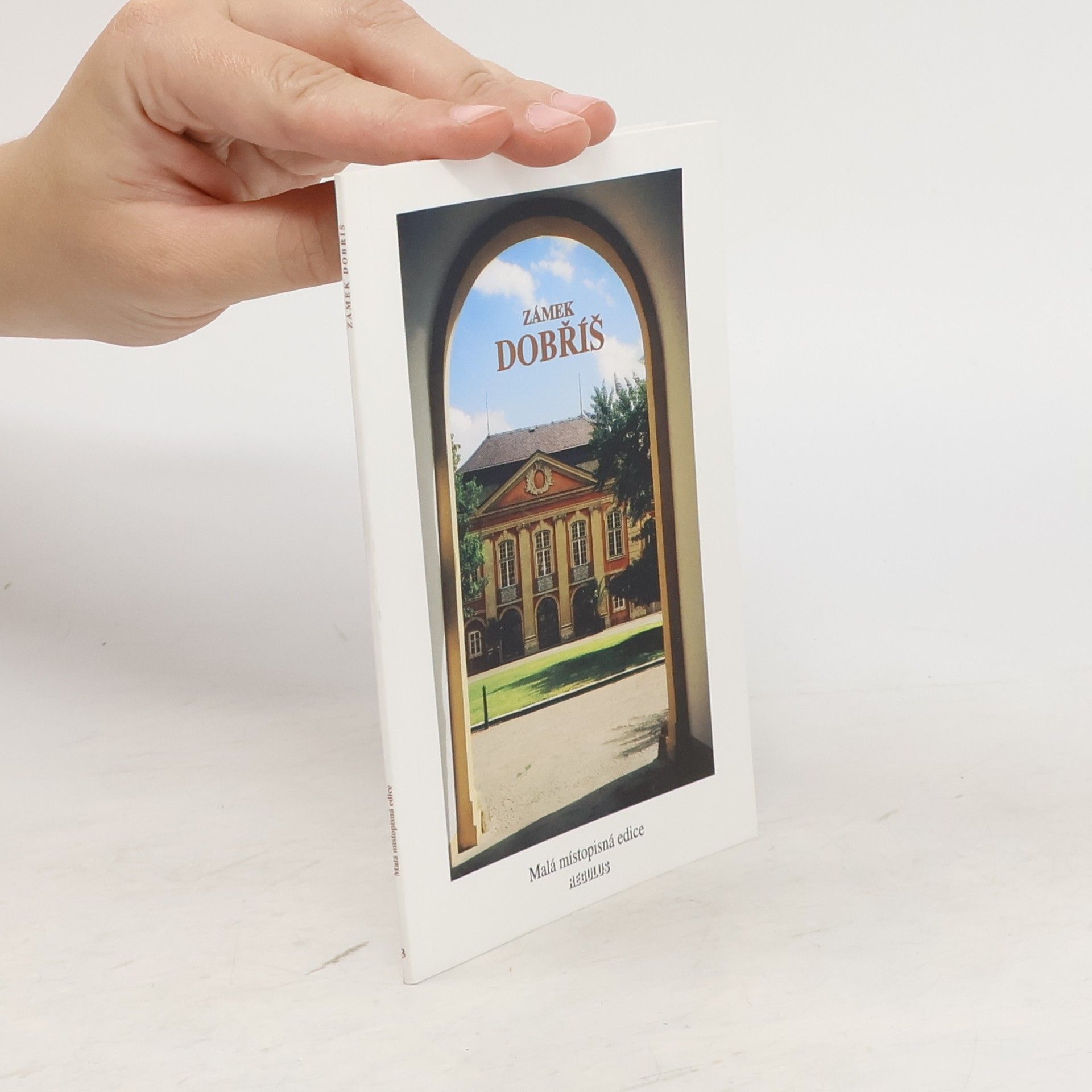 Kolektiv autorů Zámek Dobříš