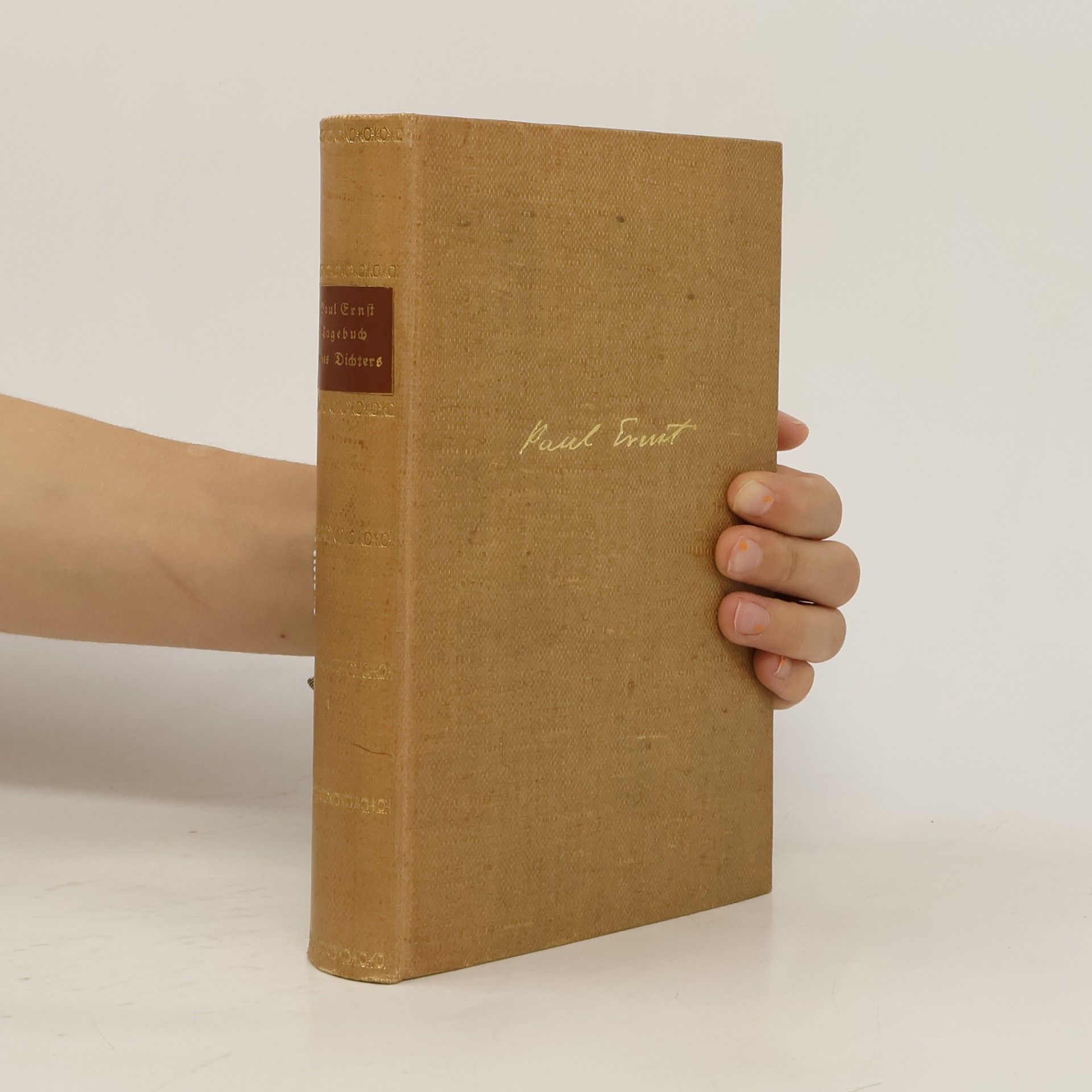 Paul Ernst Tagebuch eines Dichters