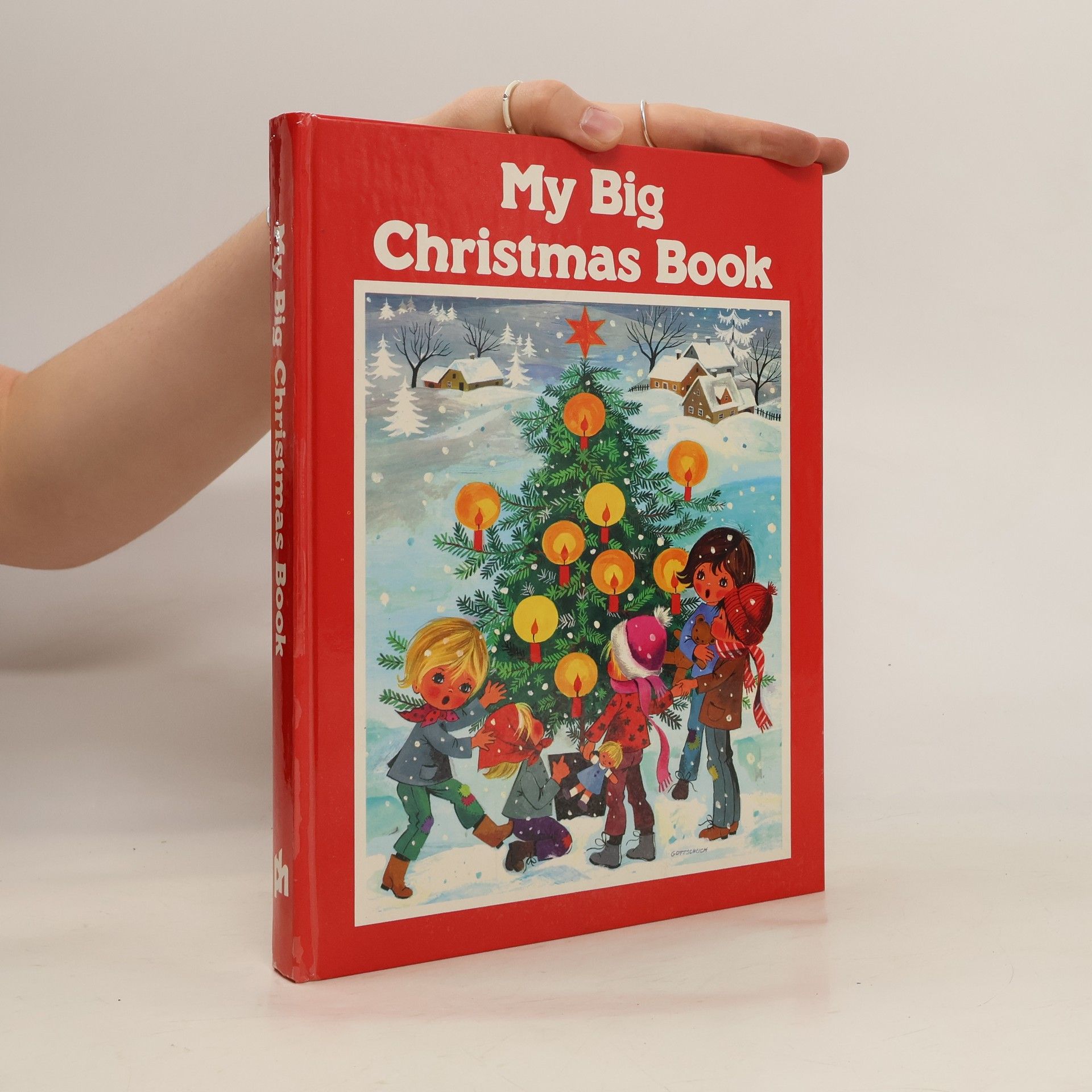 Hayden McAllister My Big Christmas Book