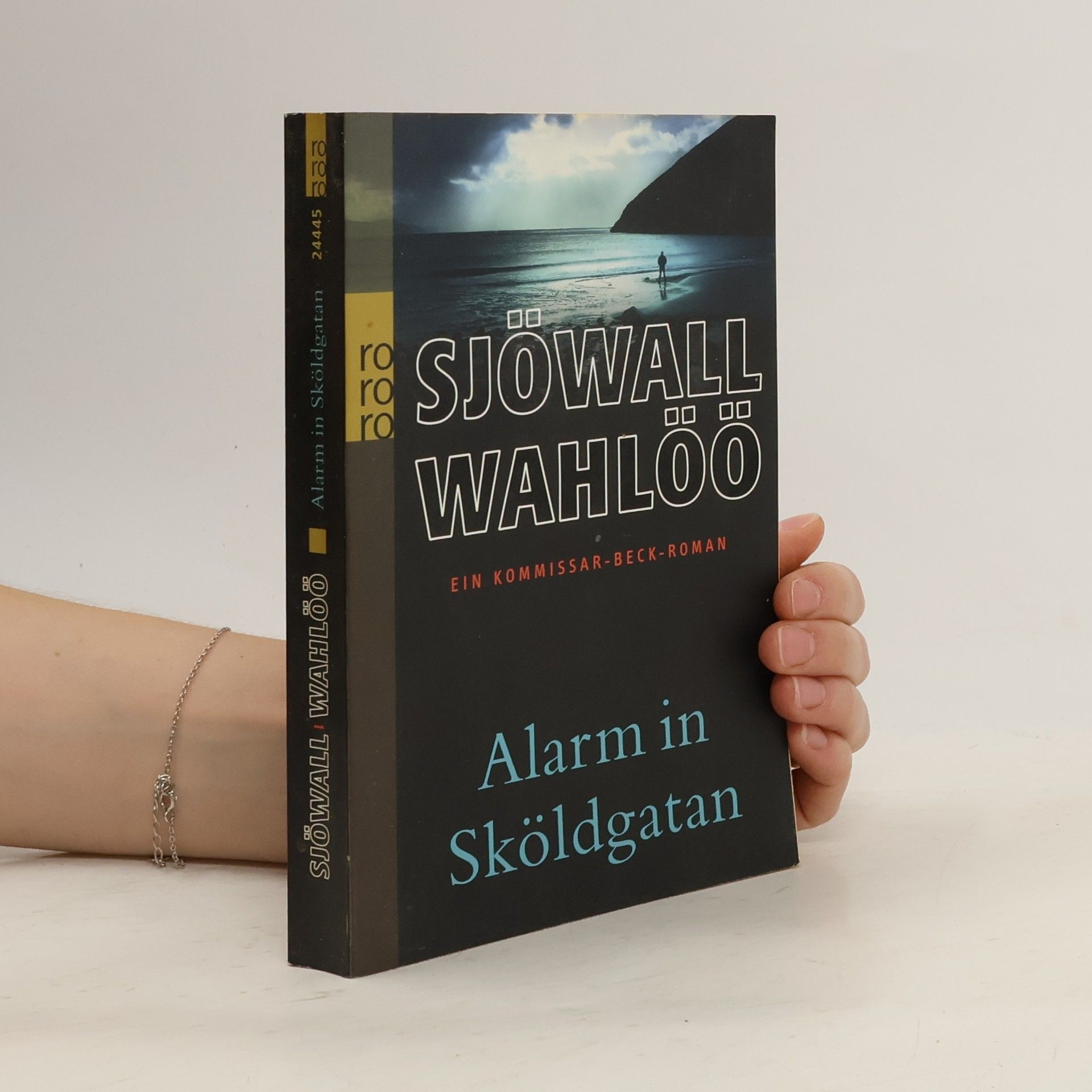 Maj Sjöwall Ein Kommissar-Beck. Alarm in Sköldgatan