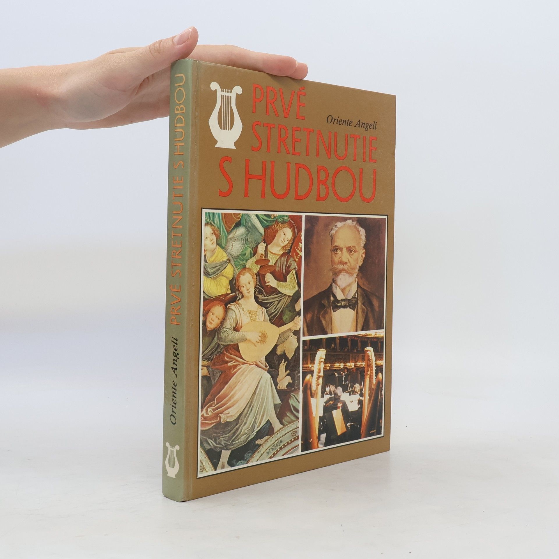 Prvé stretnutie s hudbou