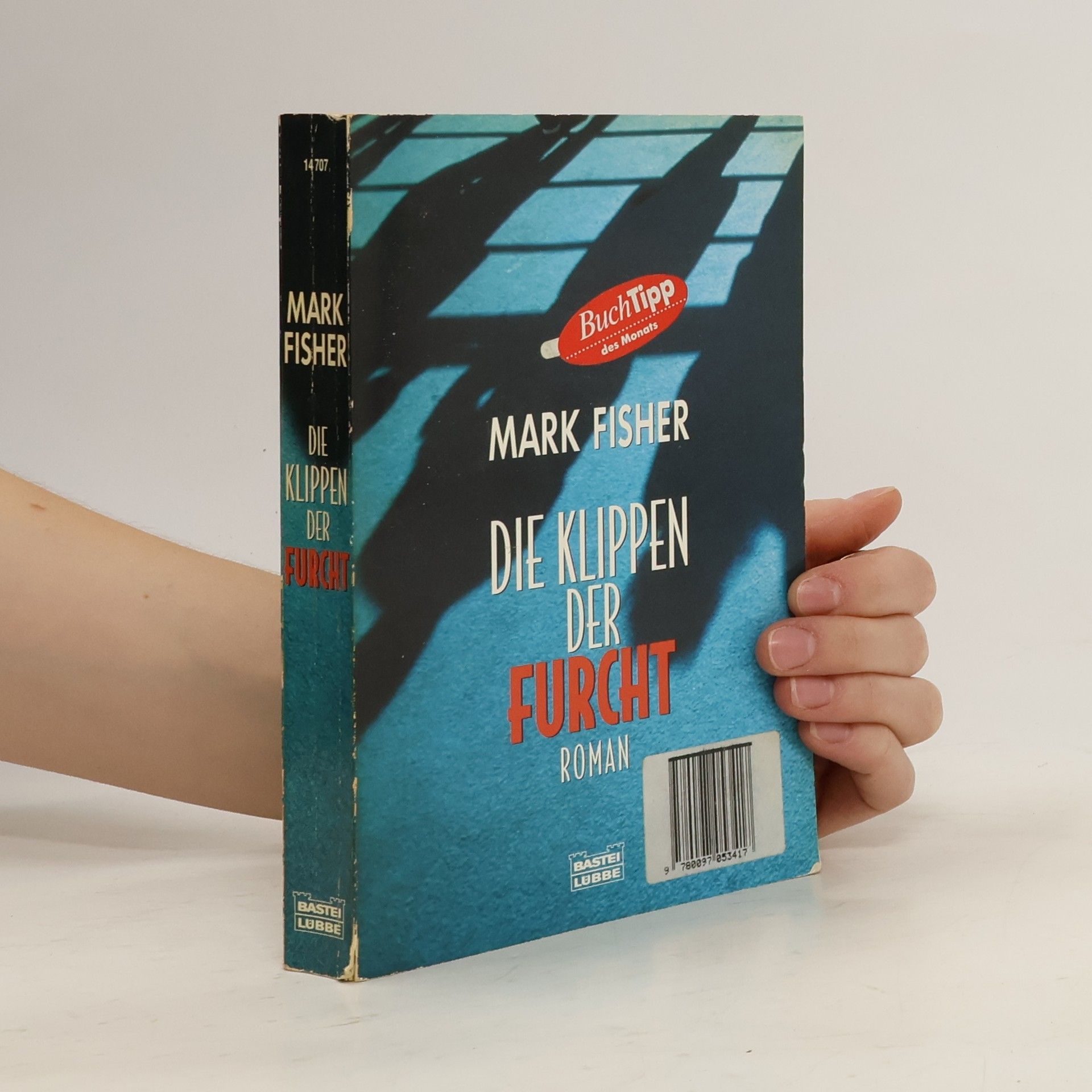 Mark Fisher Die Klippen der Furcht. Roman. Aus d. Französ. v. Bettina Bach