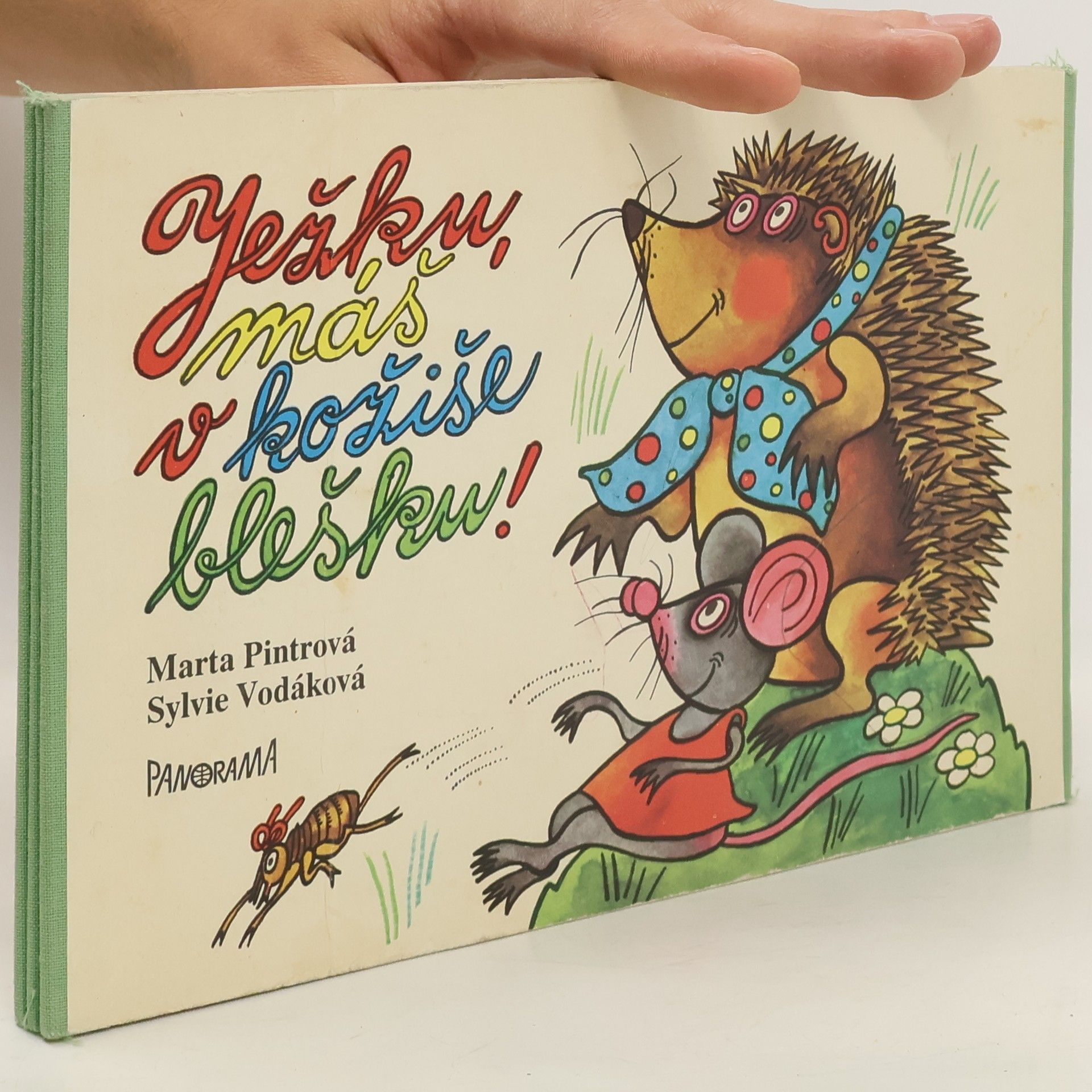 Marta Pintrová Ježku, máš v kožiše blešku!