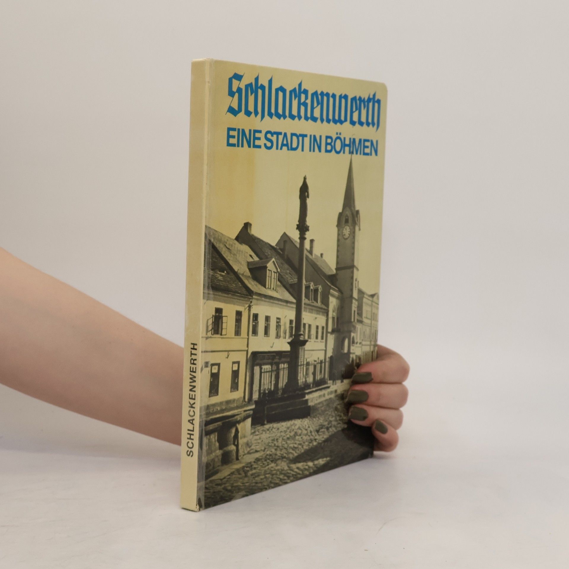 Collectif d'auteurs Schlackenwerth. Eine Stadt in Böhmen