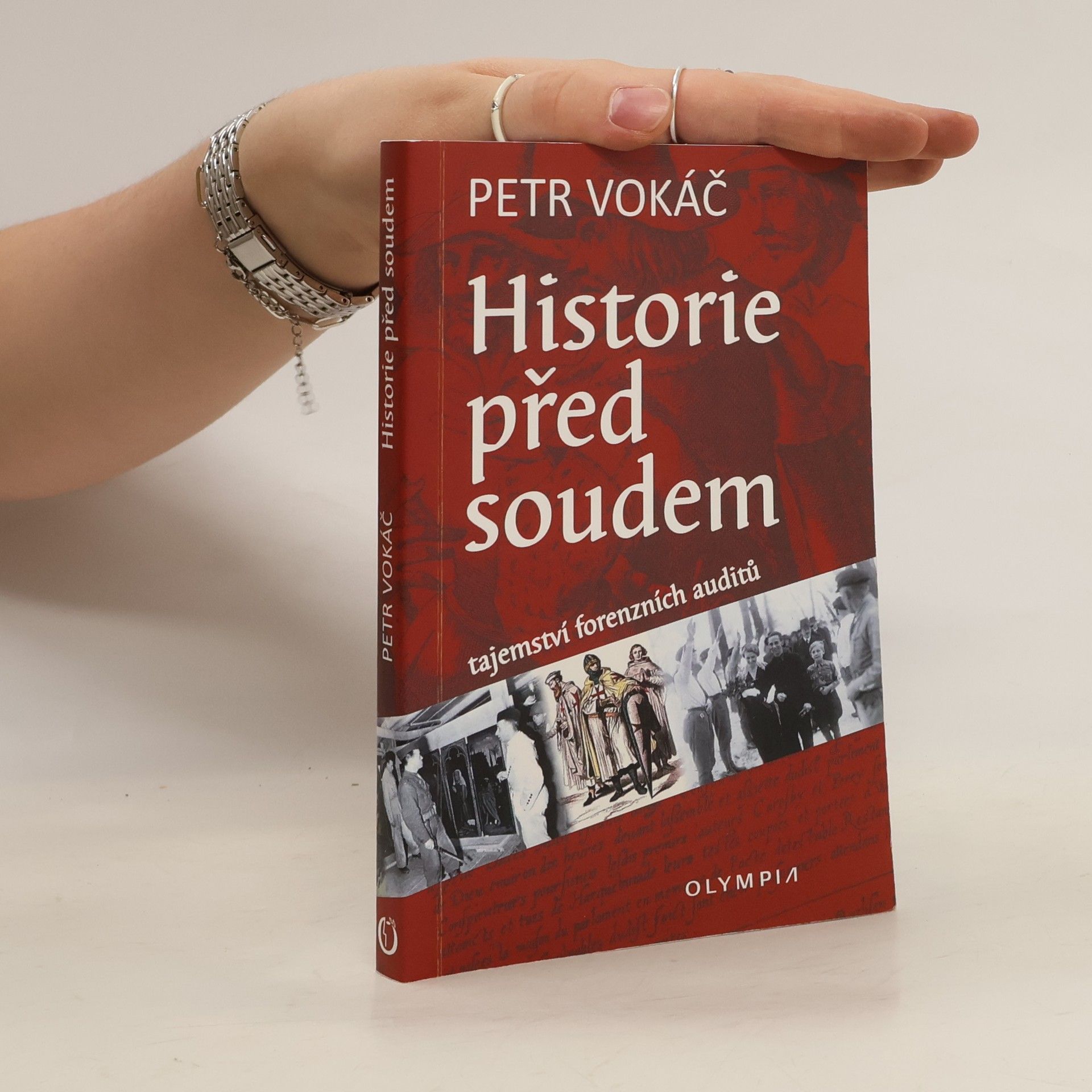 Petr Vokáč Historie před soudem