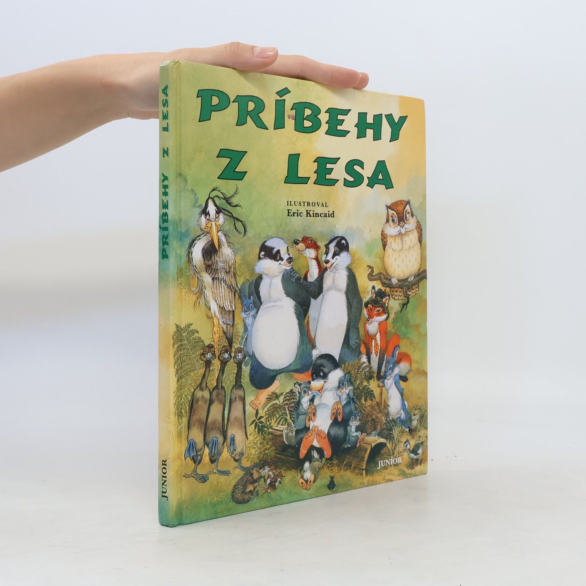Lucy Kincaid Príbehy z lesa