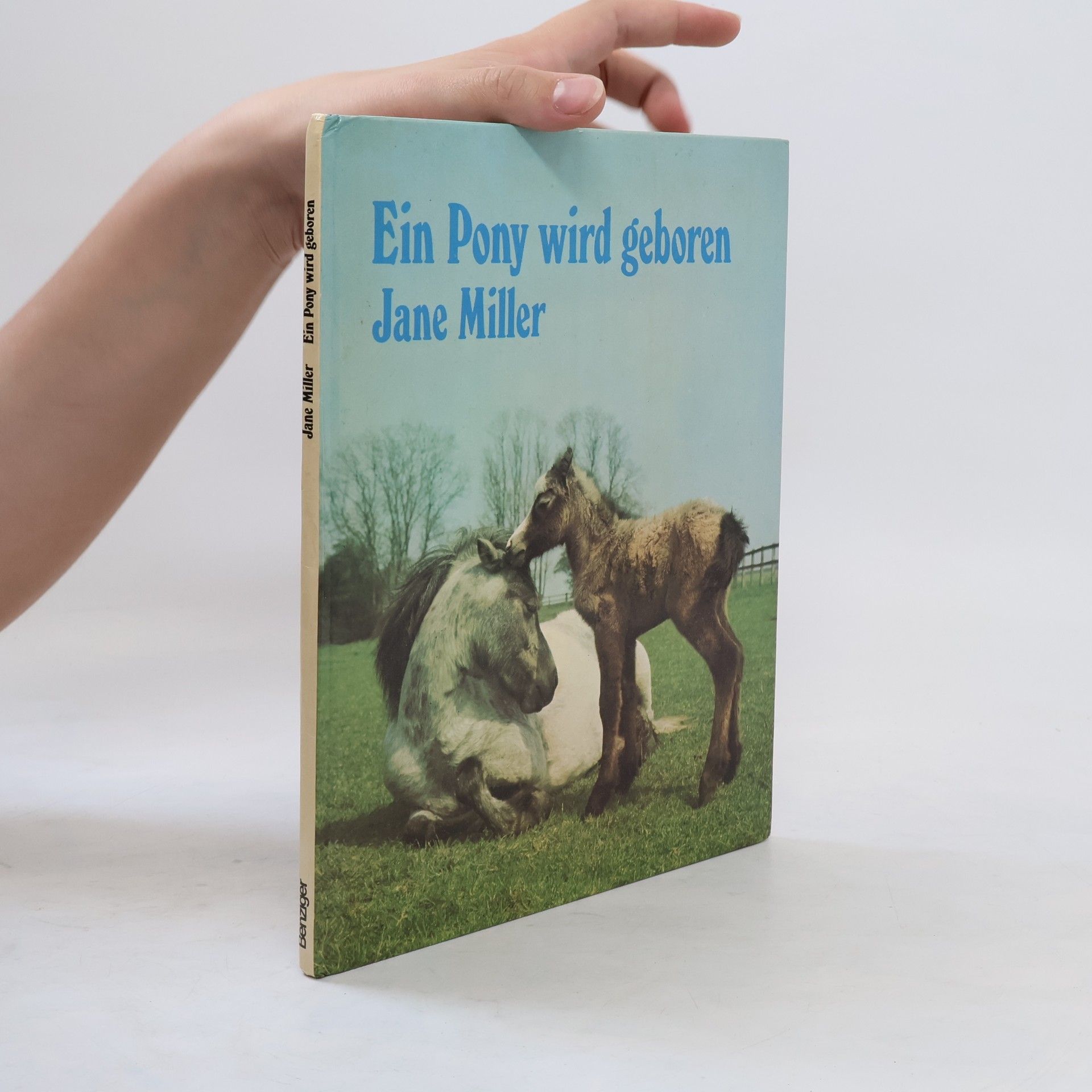 Jane Miller Ein Pony wird geboren