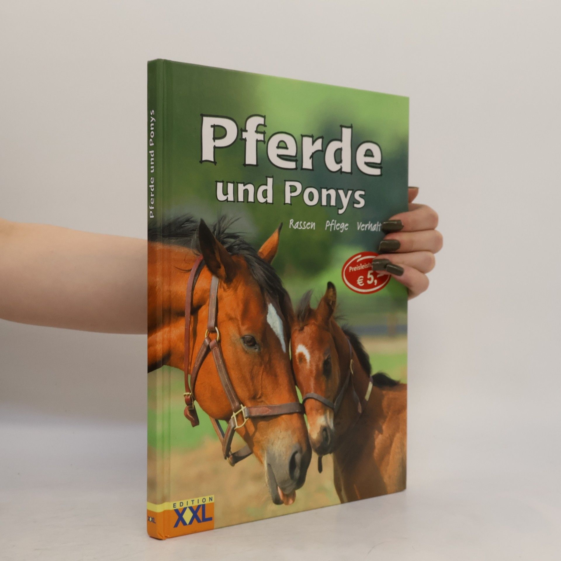 Collectif d'auteurs Pferde und Ponys
